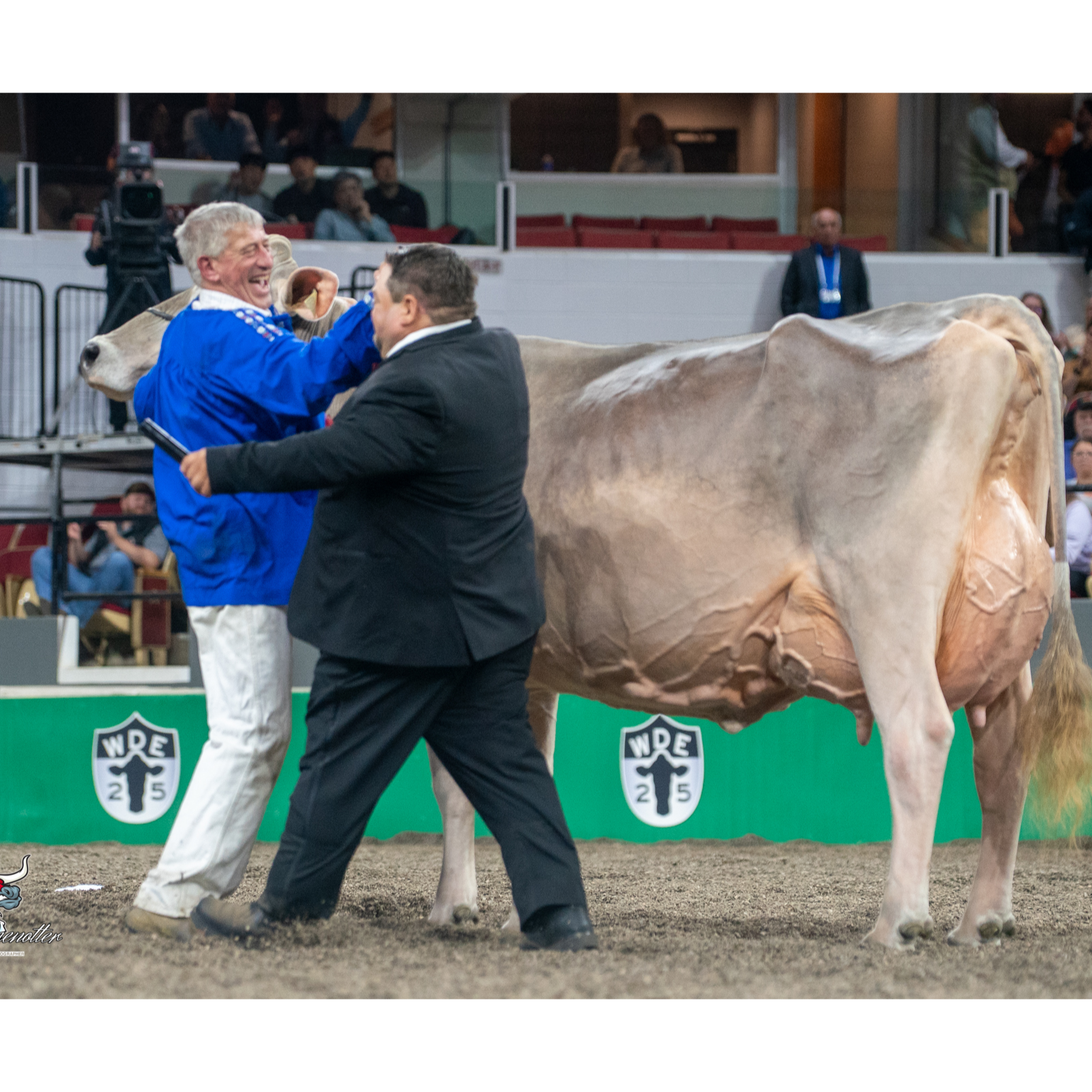 E381 World Dairy Expo Day 4: 10-Year-Old Cow Stuns Industry with Second Grand Championship