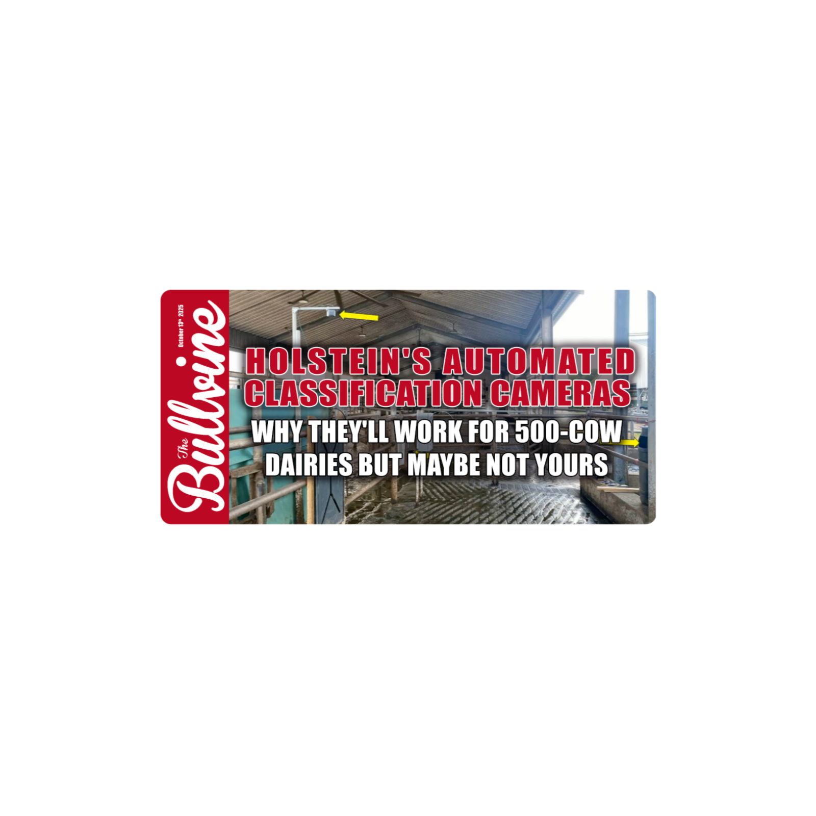 E392 Holstein’s Automated Classification Cameras: Why They’ll Work for 500-Cow Dairies but Maybe Not Yours