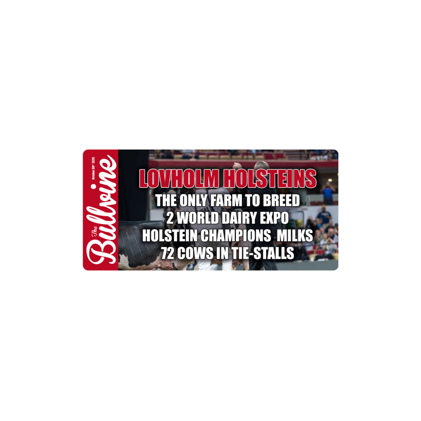 E406 Lovholm Holsteins: The Only Farm to Breed 2 World Dairy Expo Holstein Champions Milks 72 Cows in Tie-Stalls