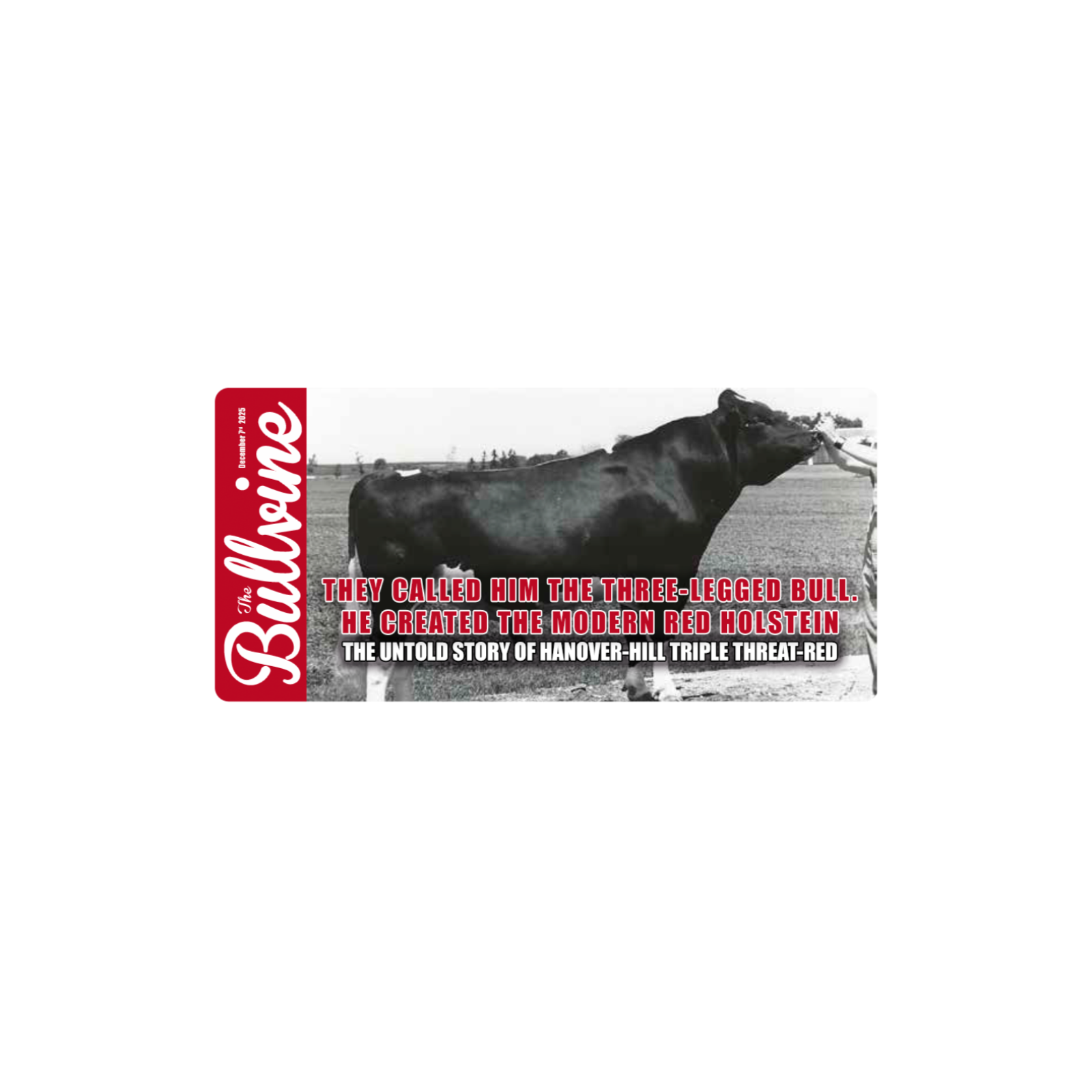 E433 They Called Him the Three-Legged Bull. He Created the Modern Red Holstein: The Untold Story of Hanover-Hill Triple Threat-Red