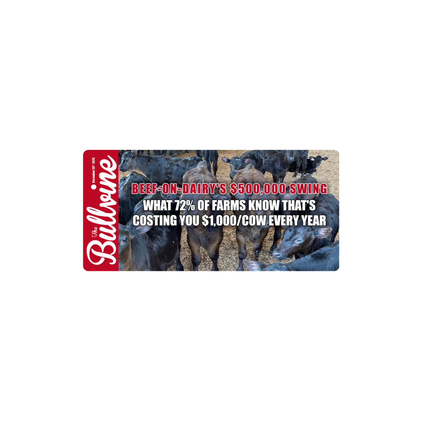 E454 Beef-on-Dairy’s $500,000 Swing: What 72% of Farms Know That’s Costing You $1,000/Cow Every Year