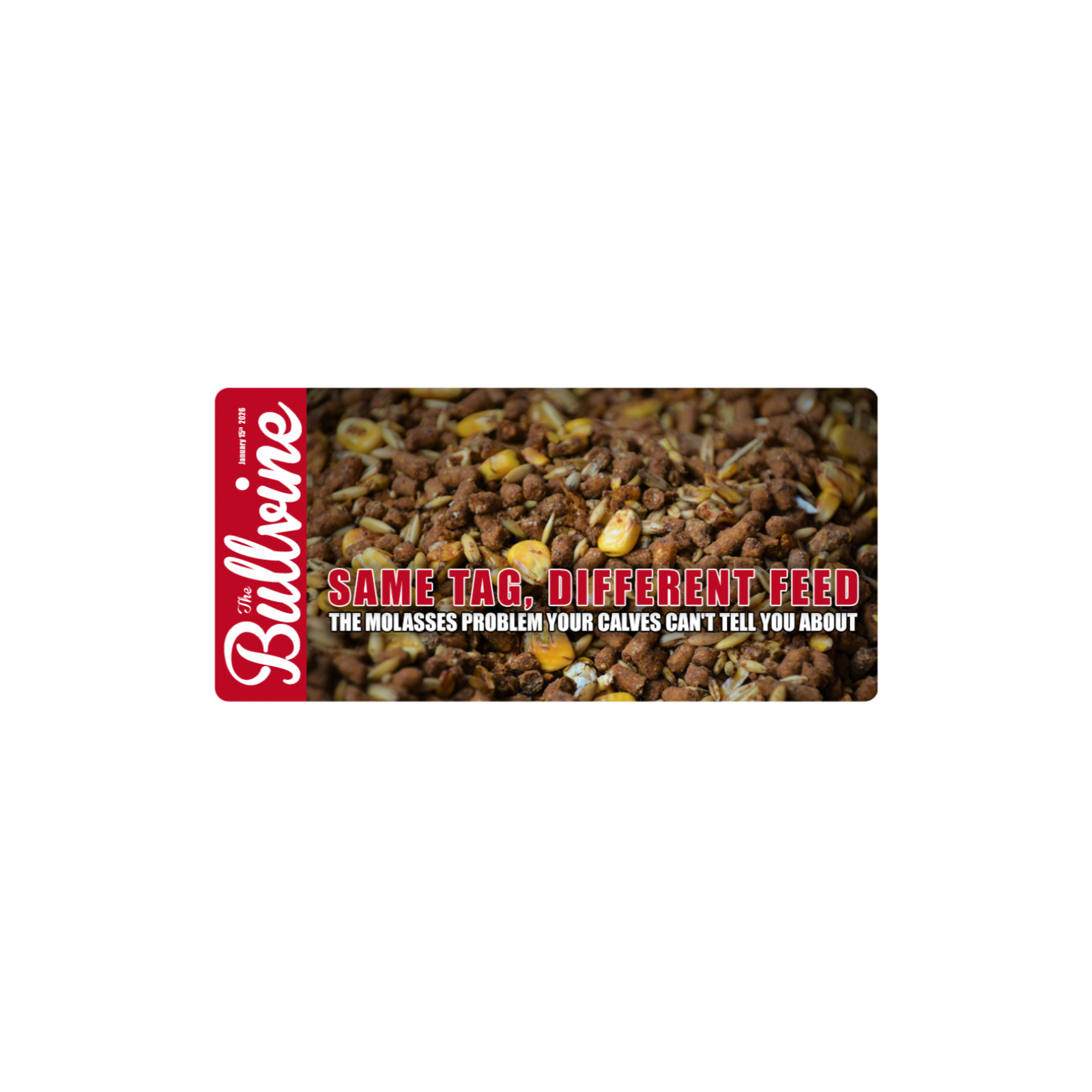 E464 Same Tag, Different Feed: The Molasses Problem Your Calves Can’t Tell You About