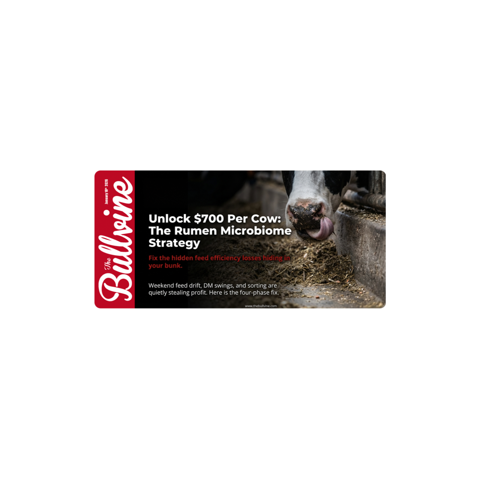 E465 Unlock $700 Per Cow: The Rumen Microbiome Strategy That Fixes Hidden Feed Efficiency Losses.