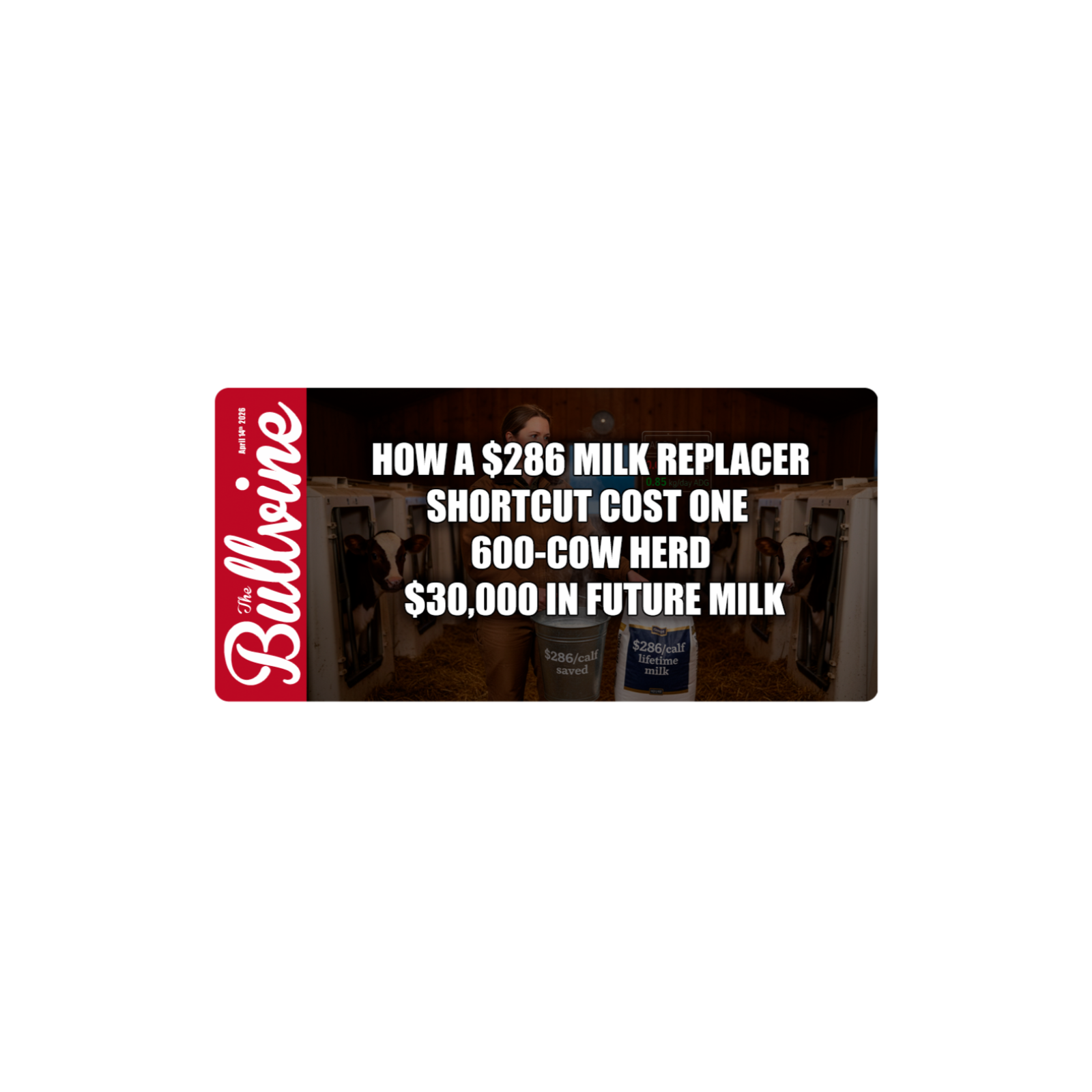 E536 How a $286 Milk Replacer Shortcut Cost One 600‑Cow Herd $30,000 in Future Milk