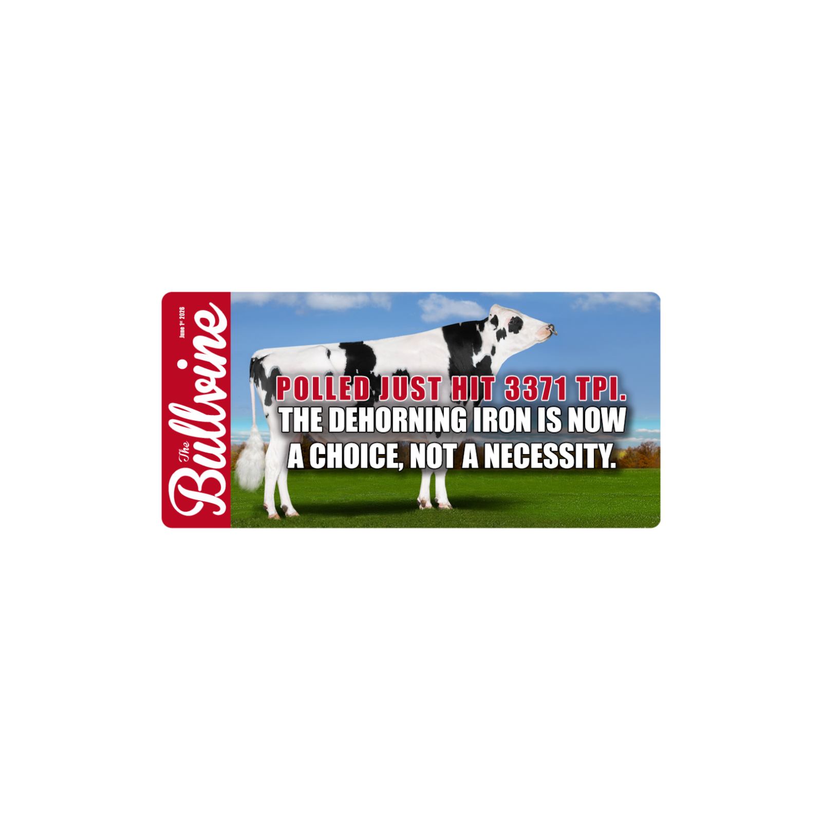 E574 Polled Just Hit 3371 TPI. The Dehorning Iron Is Now a Choice, Not a Necessity.