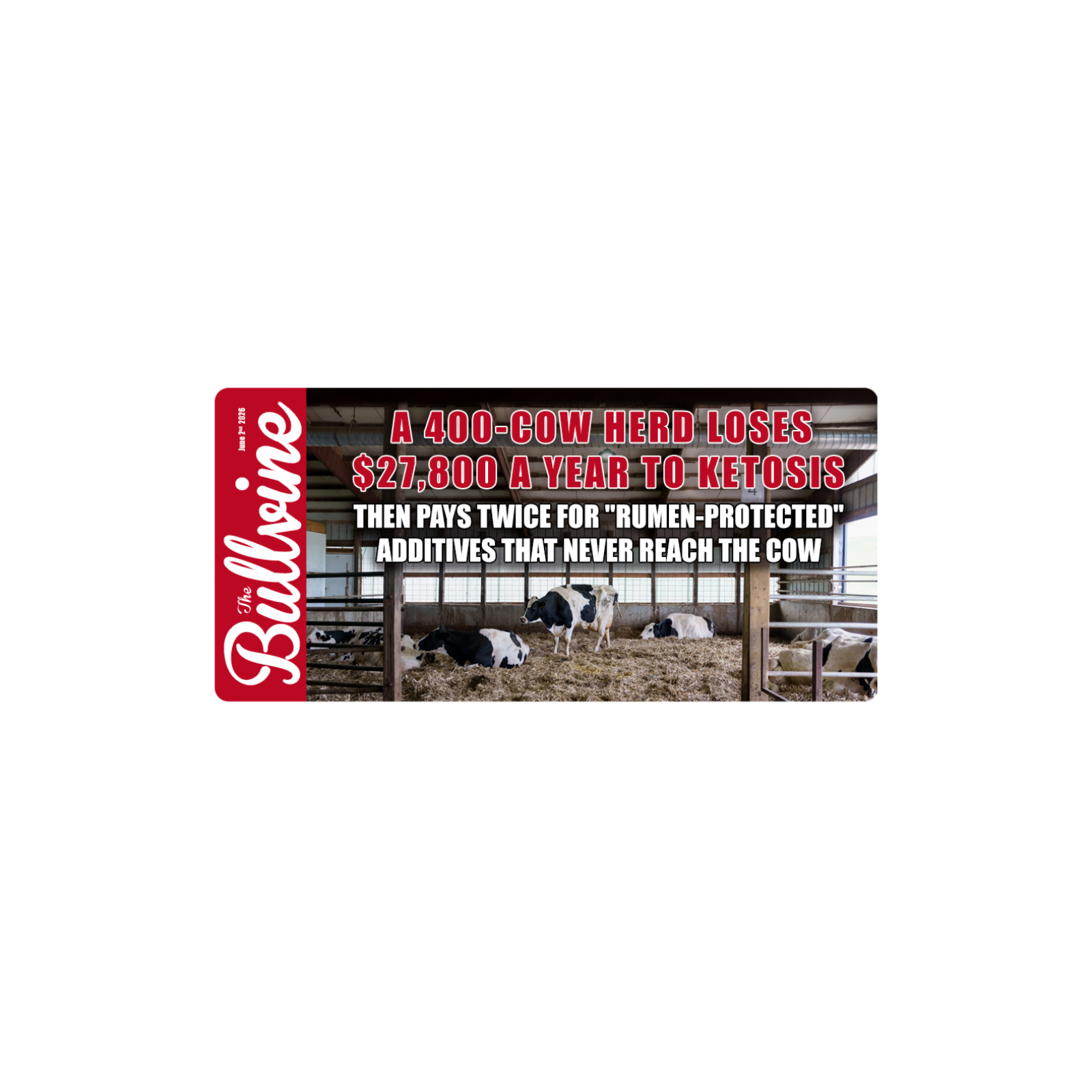 E575 A 400-Cow Herd Loses $27,800 a Year to Ketosis – Then Pays Twice for “Rumen-Protected” Additives That Never Reach the Cow