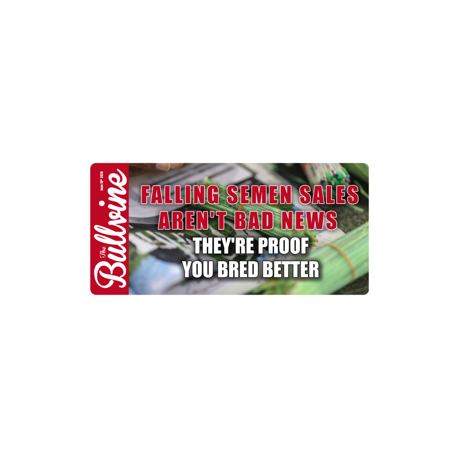 E581 Falling Semen Sales Aren’t Bad News – They’re Proof You Bred Better