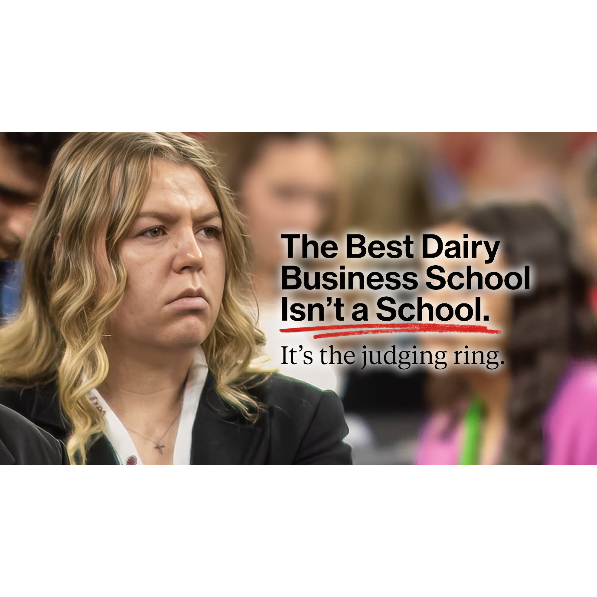 E609 The Best Dairy Business School Isn’t a School — It’s the Judging Ring episode artwork