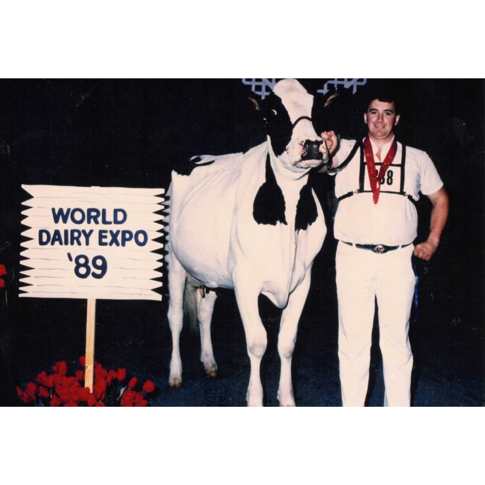 E615 Why Cow Family Beats a +3000 GTPI Calf: The $12,000 Embryo Math Every Breeder Should Run