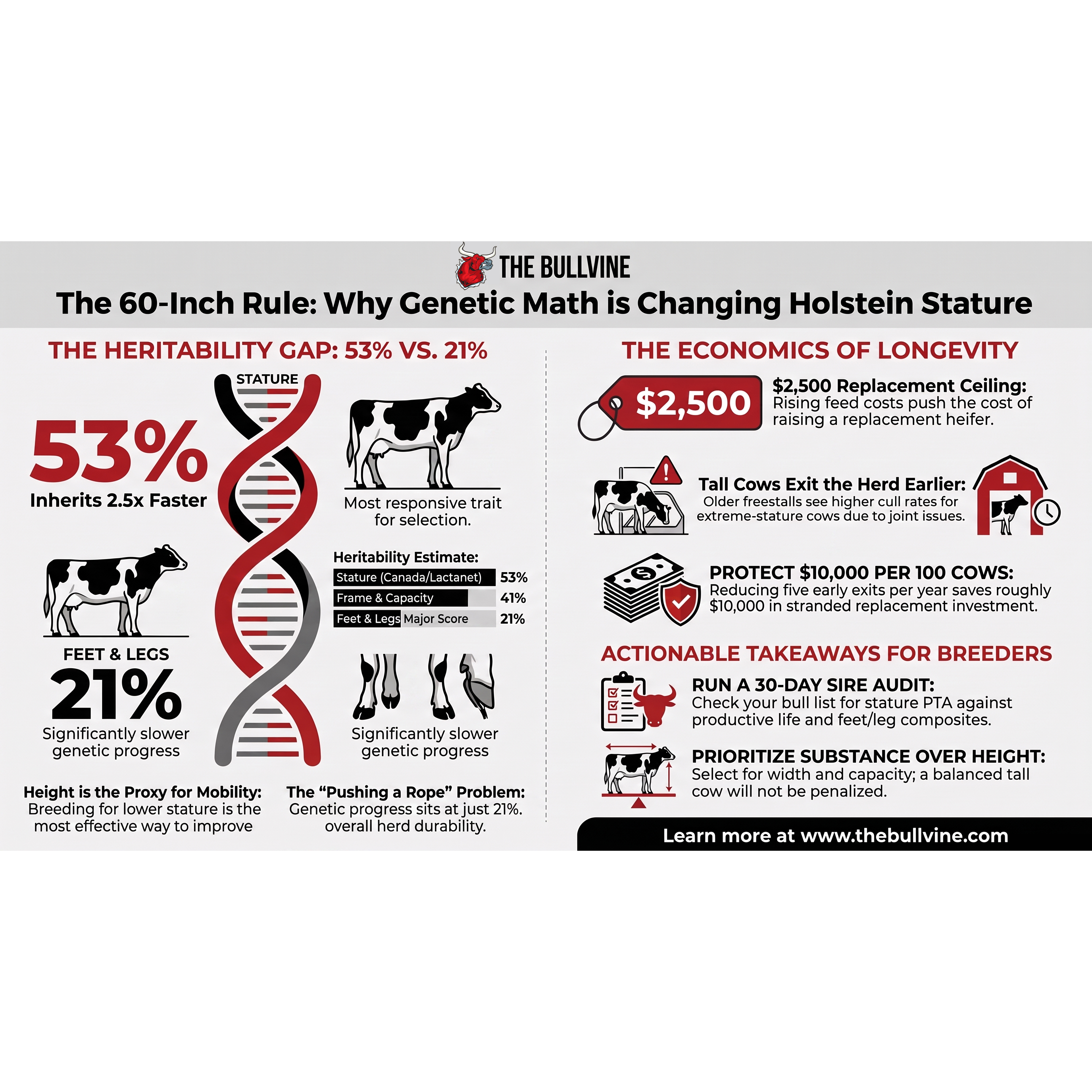 E619 Holstein’s 60-Inch Rule: Why Breeders Are Backing It With 53%-vs-21% Math 