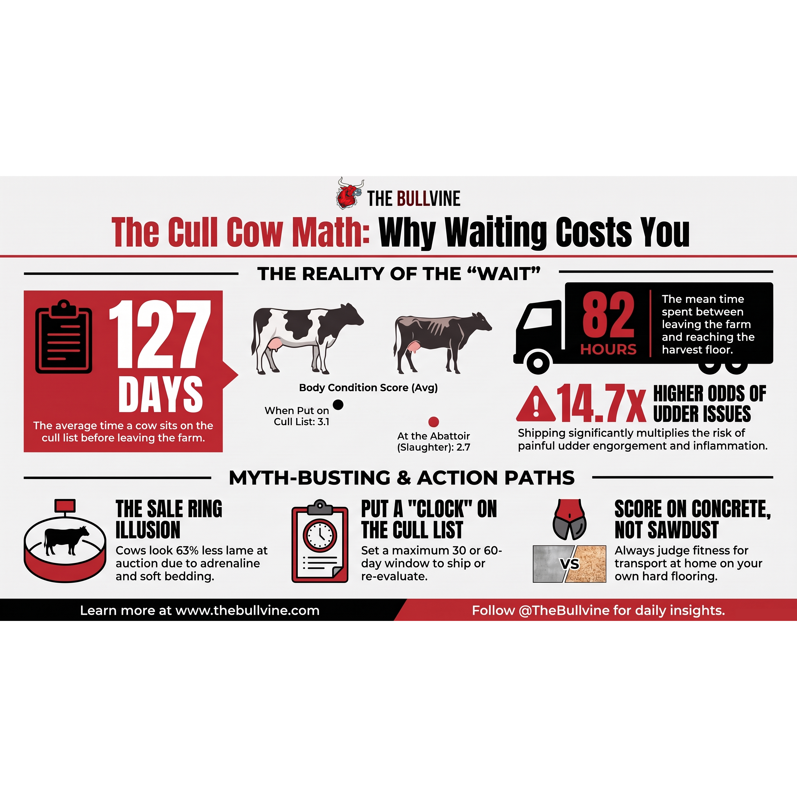 E643 127 Days on the List, 82 Hours on the Road: The Cull Cow Math Nobody Runs