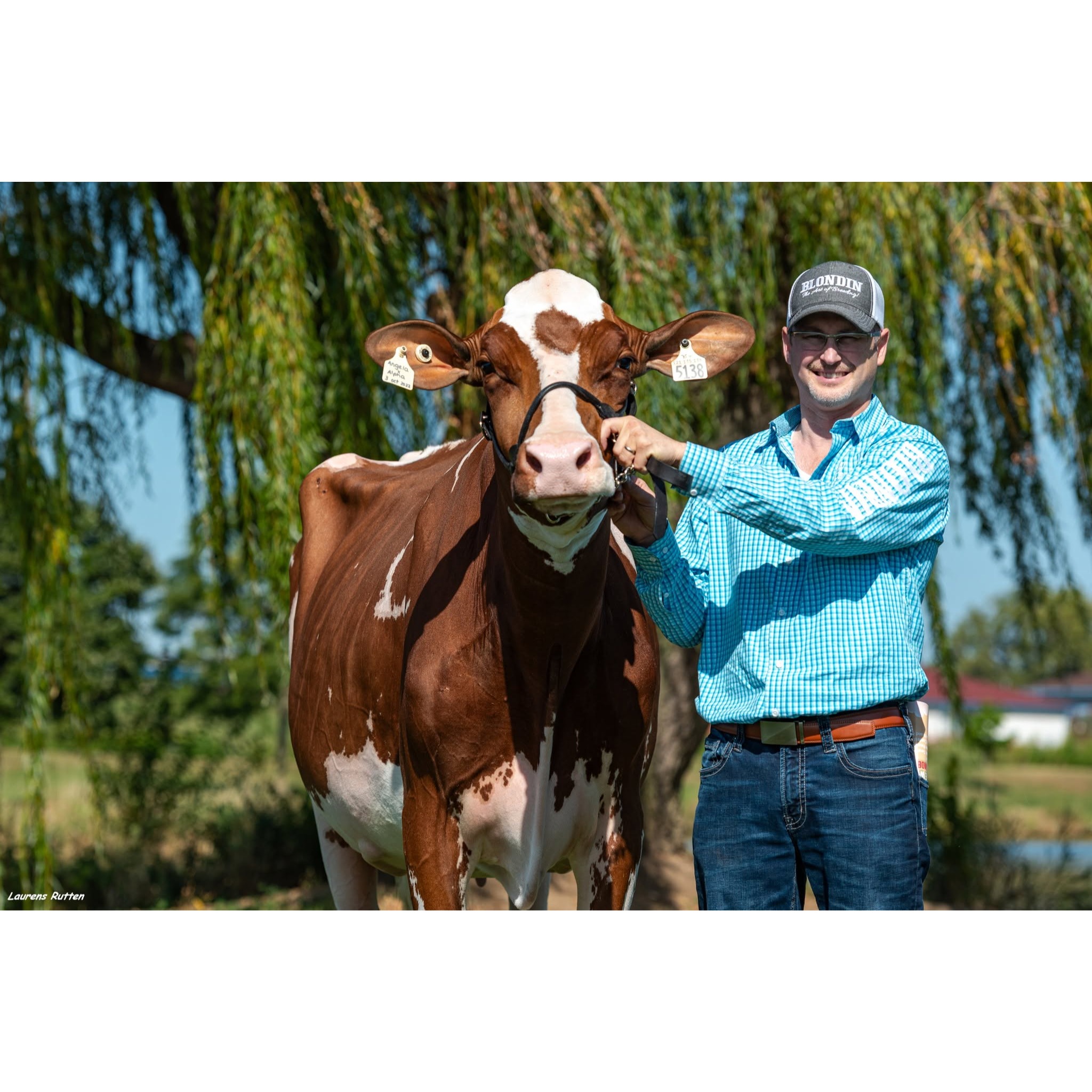 E644 Every Tuesday Dann Brady Throws Out Bulls He Likes. One of Them Wasn’t Logic PP