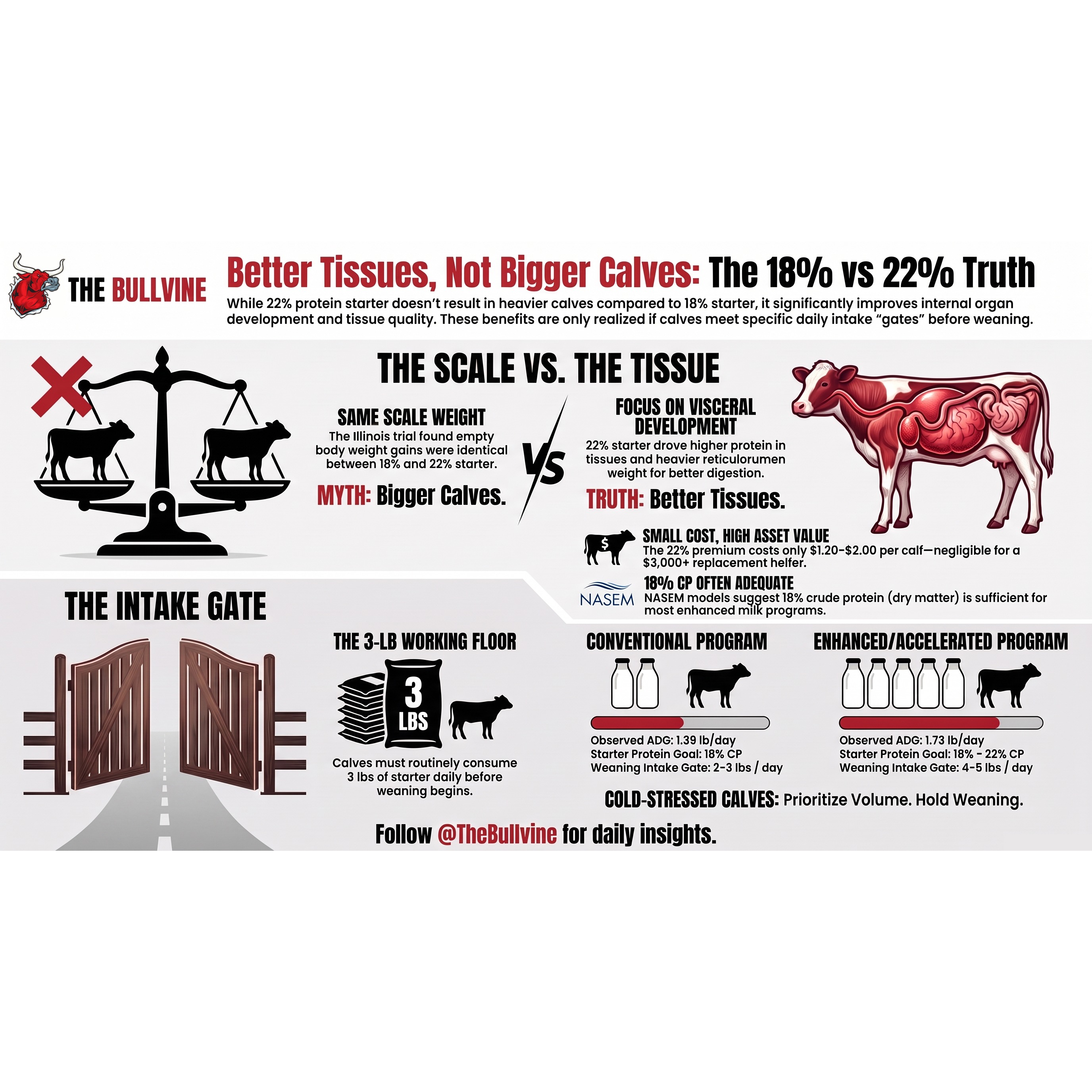 E648 The 22% Starter Made Better Calves – Not Bigger Ones. Here’s the 3-lb Test.