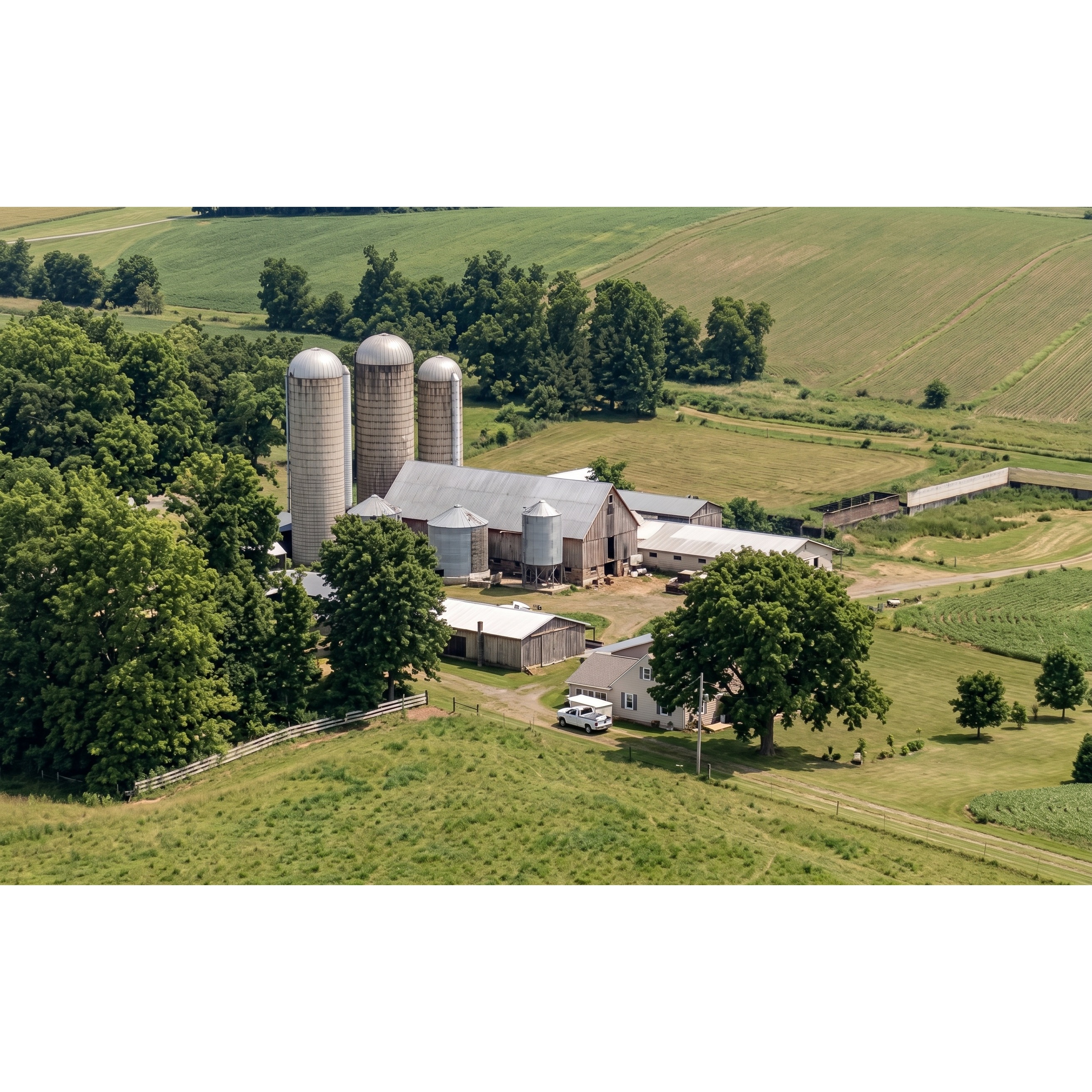 E650 “I Was Wrong. They Were Better.” – The Glengarry Ayrshires That Beat the World