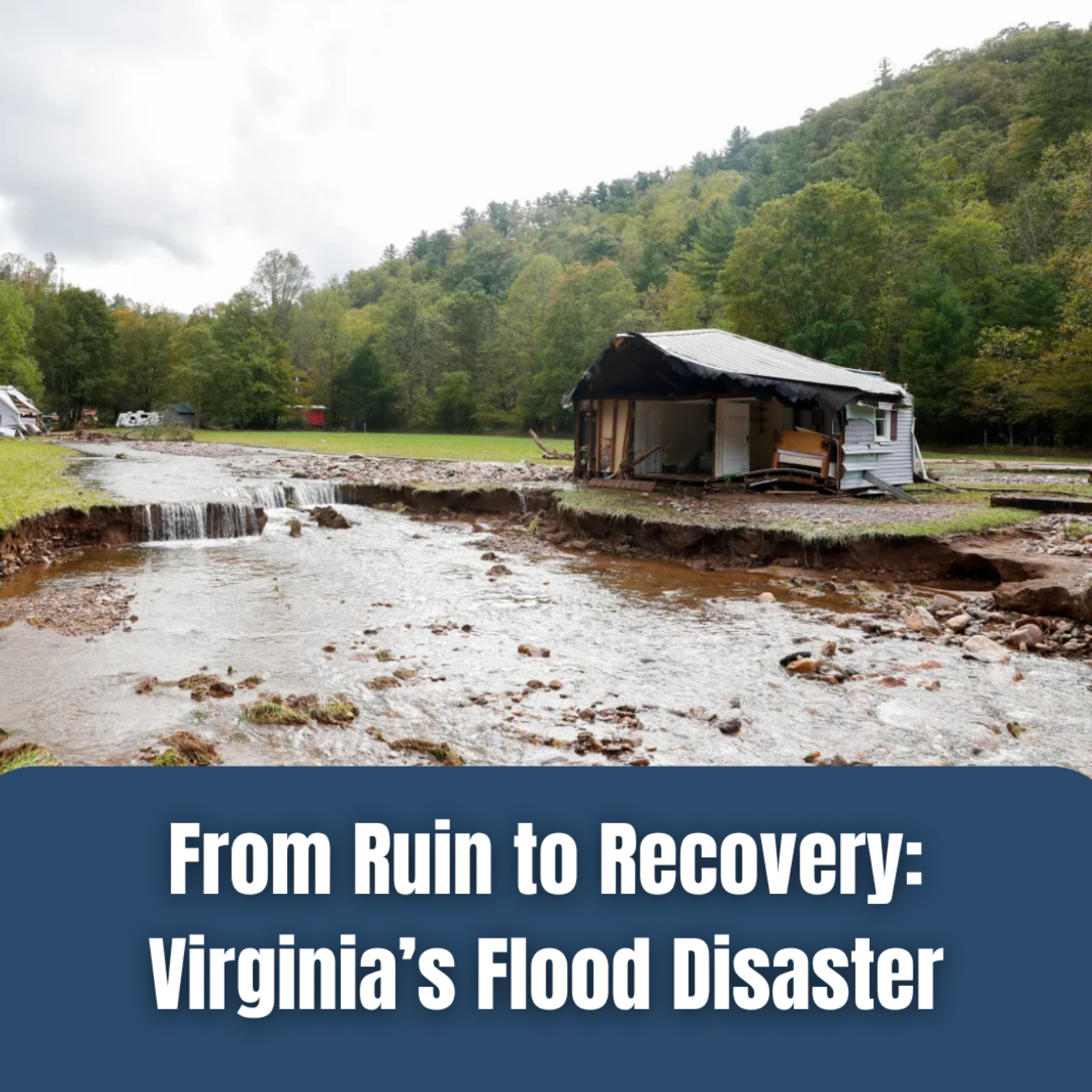 The Cardinal: News of Virginia