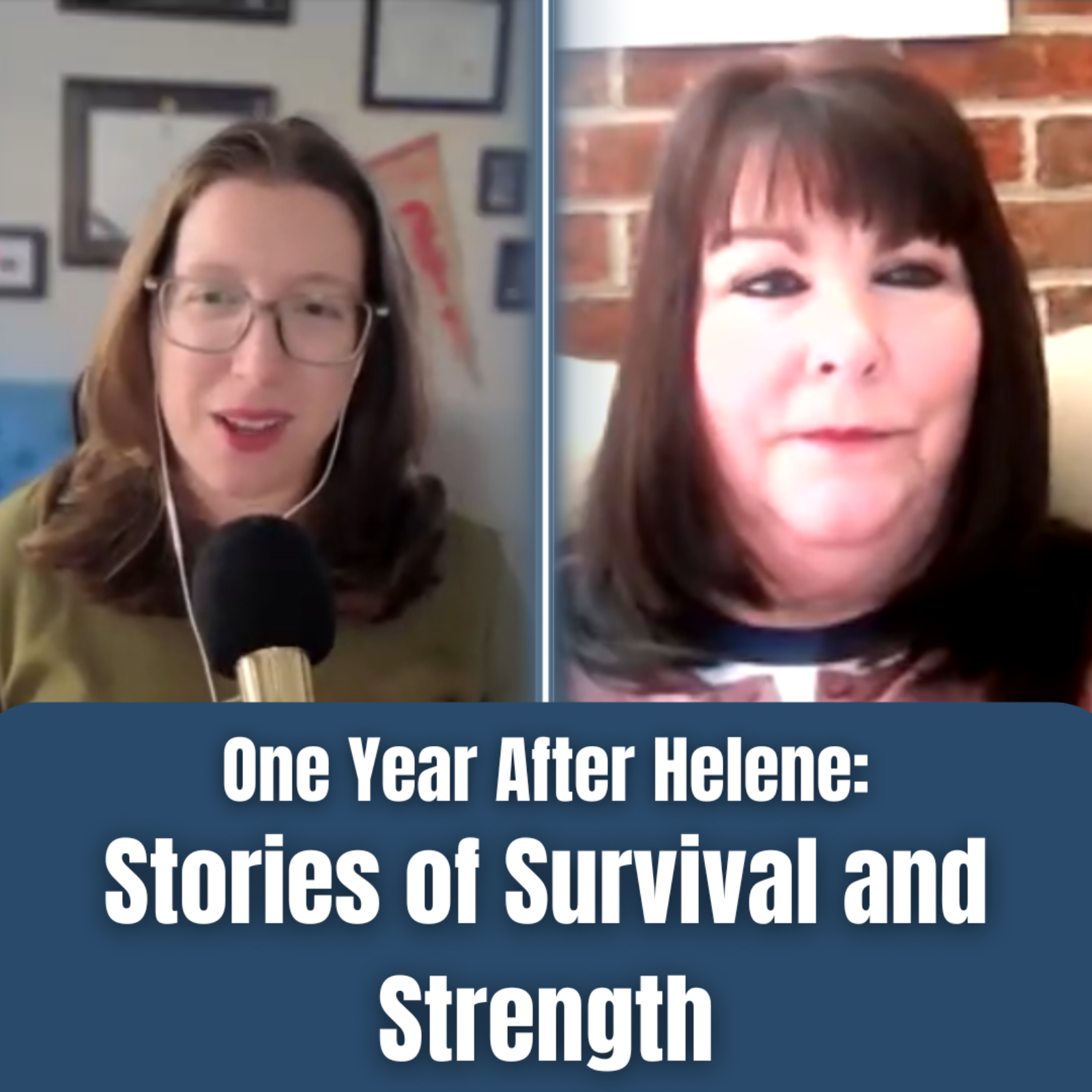 The Cardinal: News of Virginia