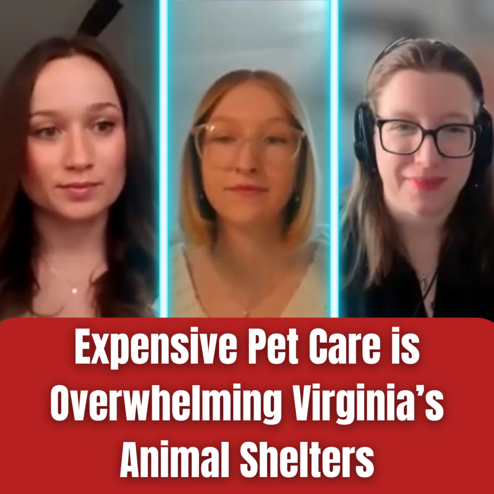 Expensive Pet Care is Overwhelming Virginia's Animal Shelters episode artwork