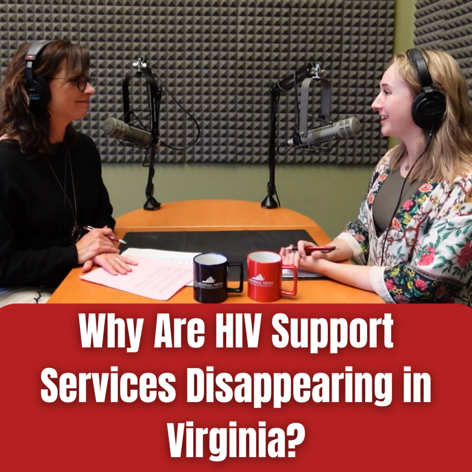 Why Are HIV Support Services Disappearing in Virginia? episode artwork