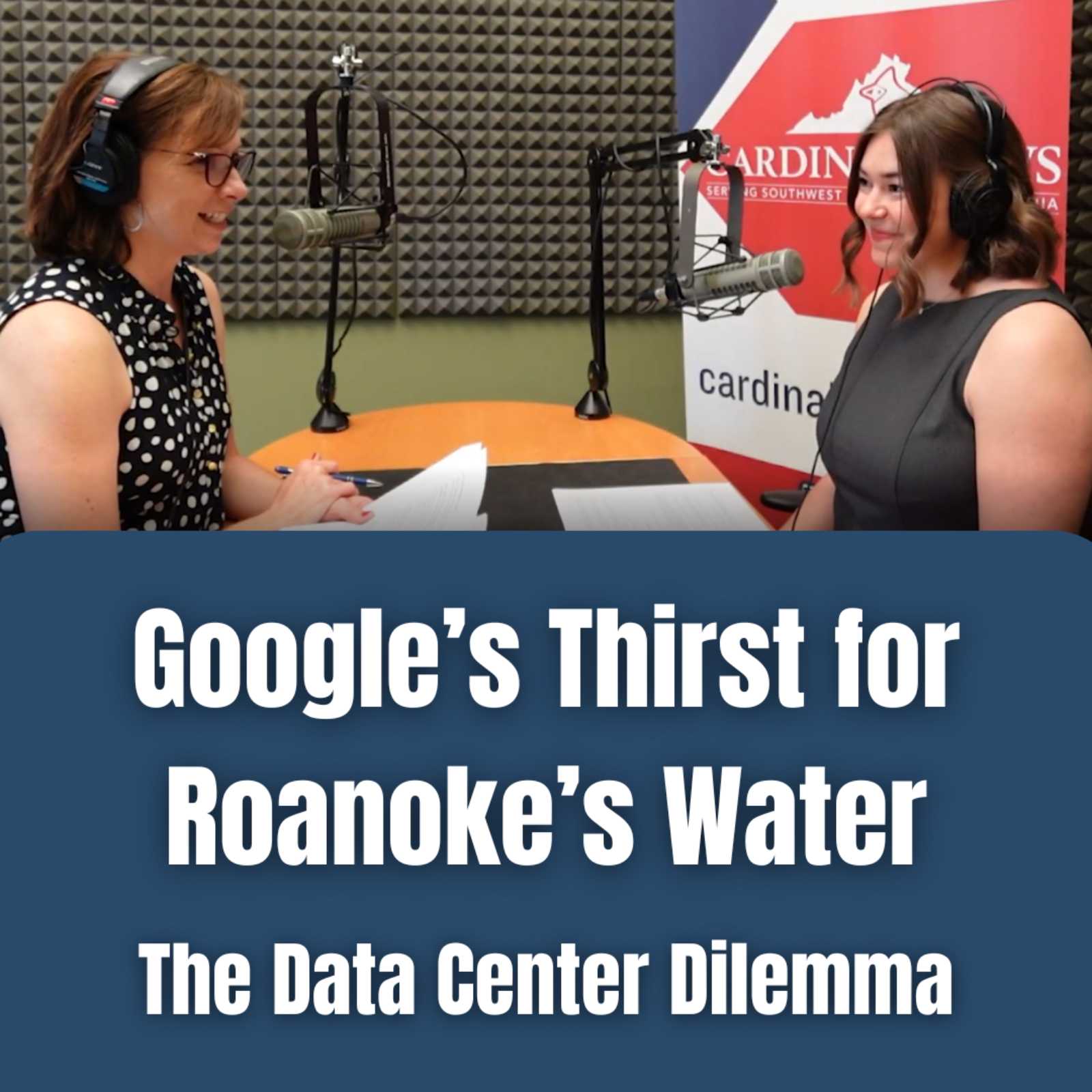 Google's Thirst for Roanoke's Water: The Data Center Dilemma episode artwork