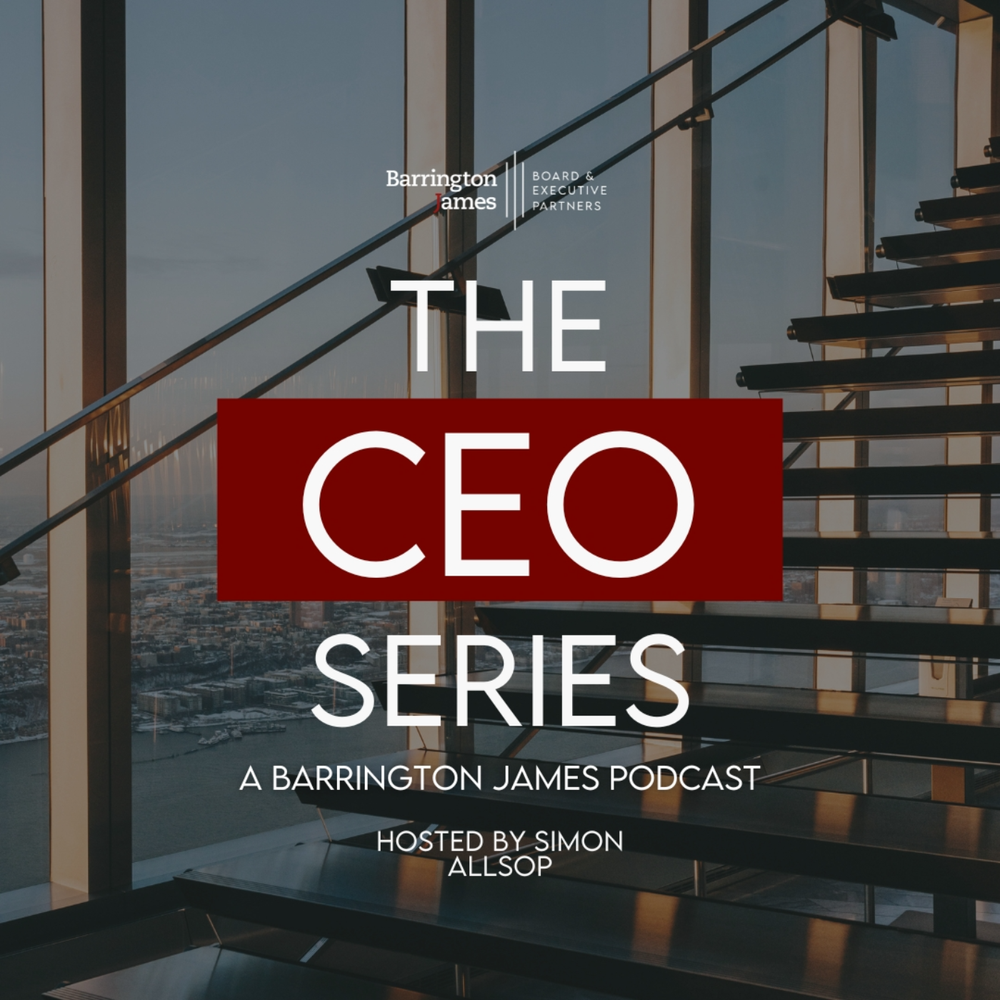 The CEO Series