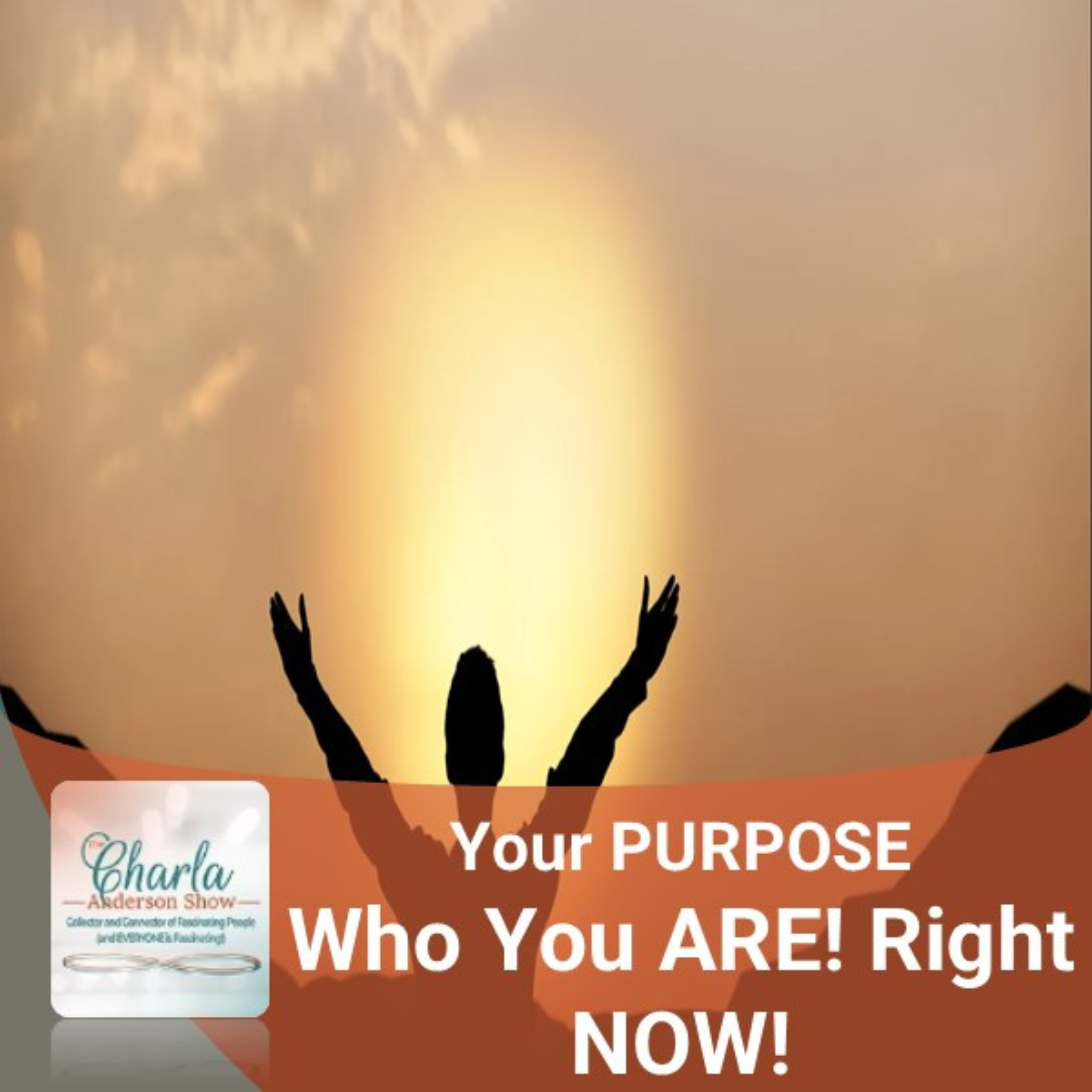 The Charla Anderson Show ~ Collector & Connector of Fascinating People (and EVERYONE is Fascinating!)