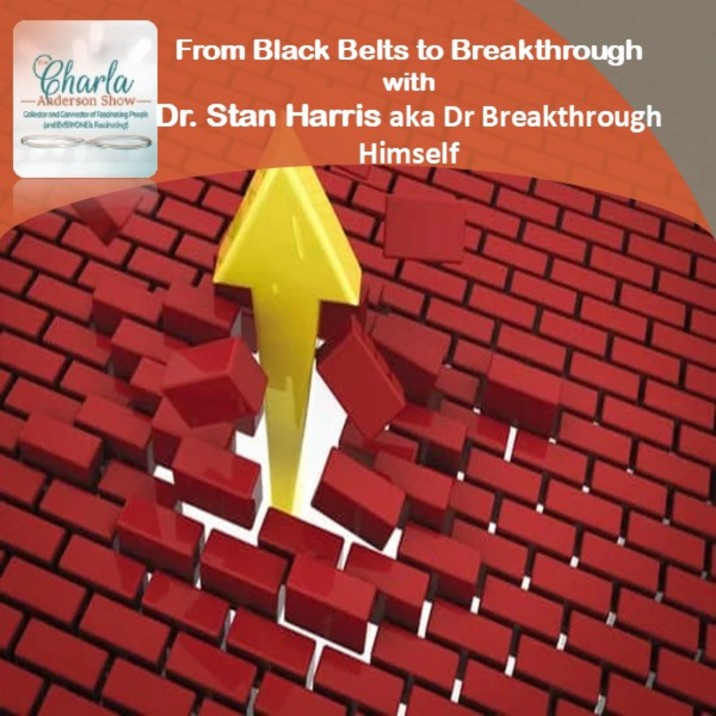 The Charla Anderson Show ~ Collector & Connector of Fascinating People (and EVERYONE is Fascinating!)