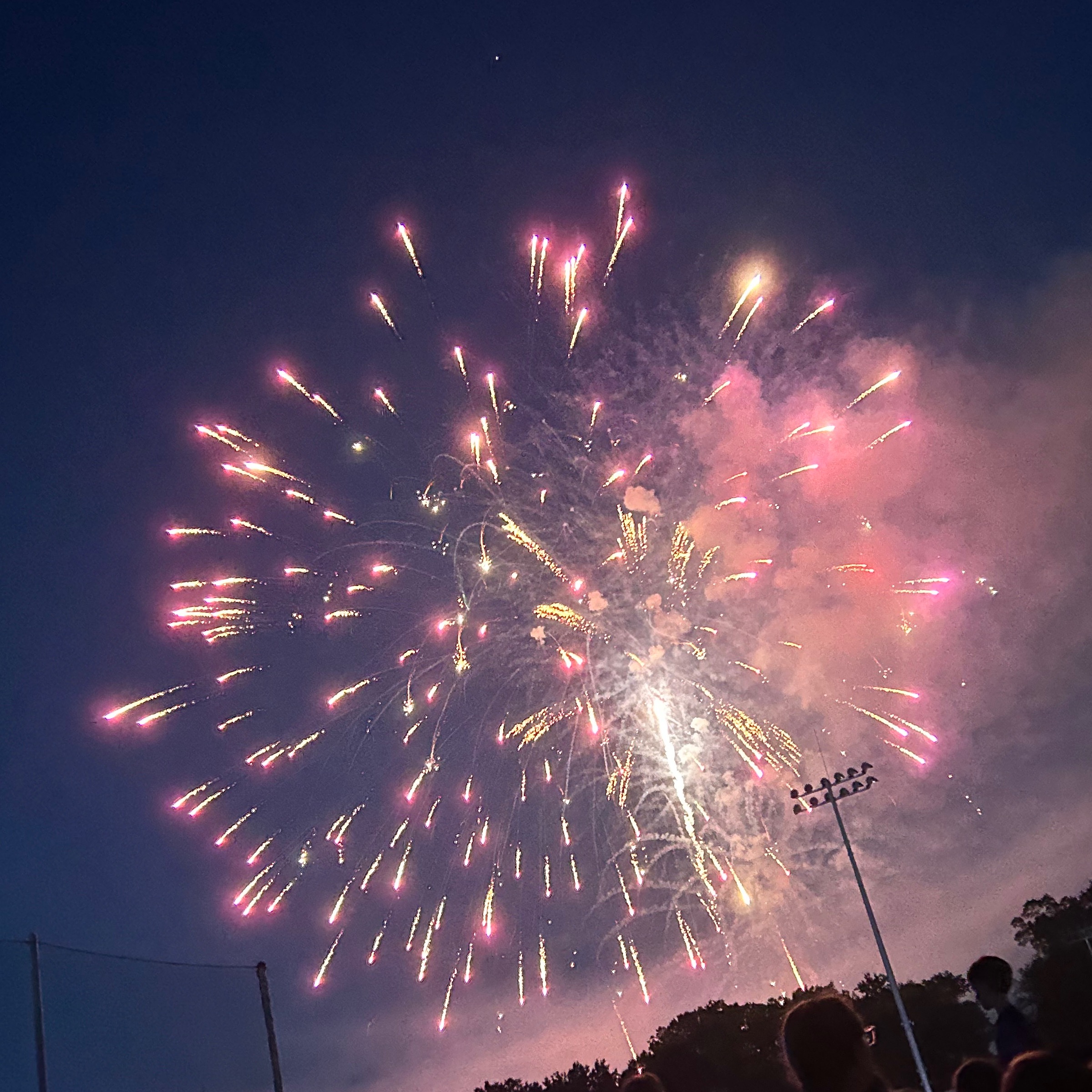 The children’s project