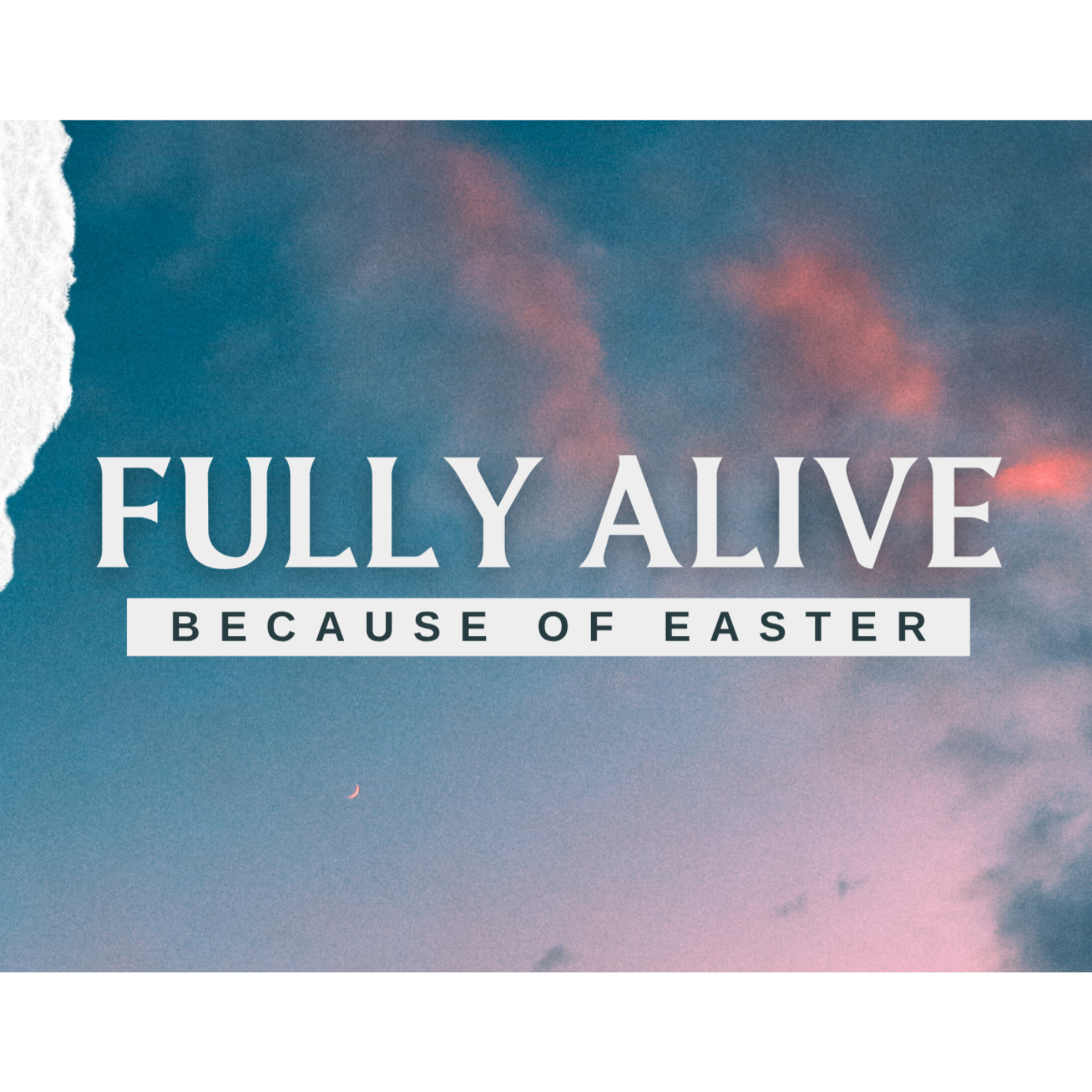 Fully Alive (Ephesians 2:1-9) - 4/5/2026 episode artwork