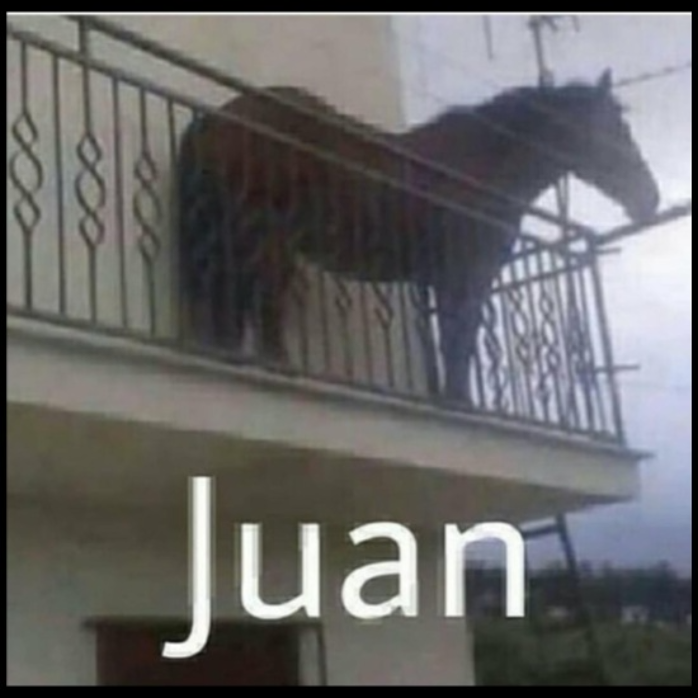 The College Experience