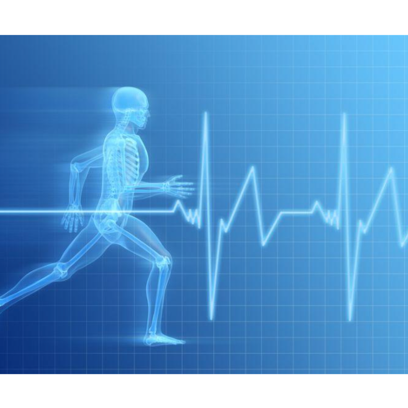 The College of Health and Fitness