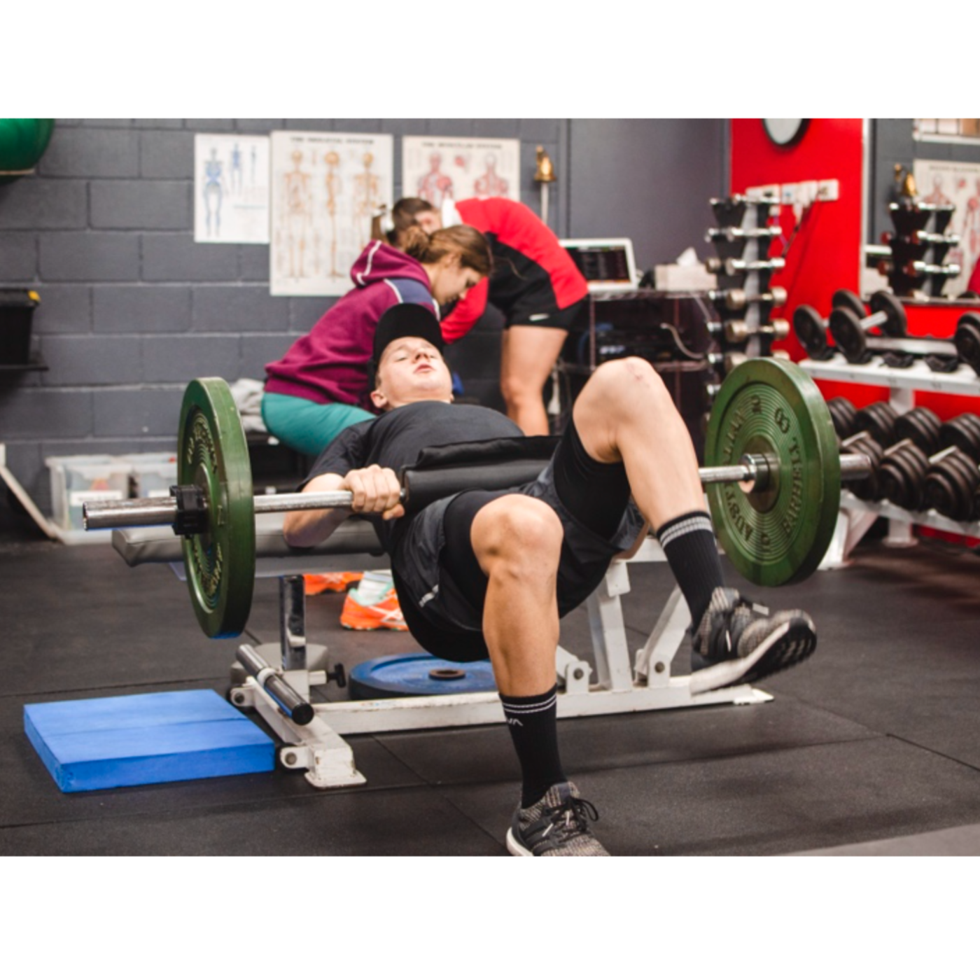 The College of Health and Fitness