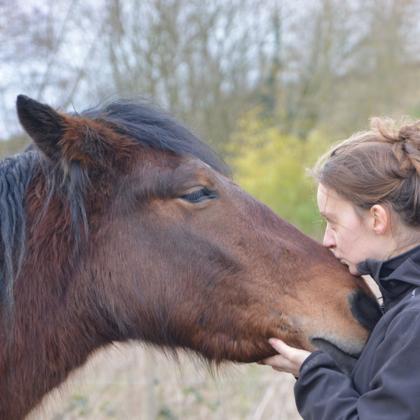 The Connected Horse: Smarter Equine Care Through Better Management podcast artwork