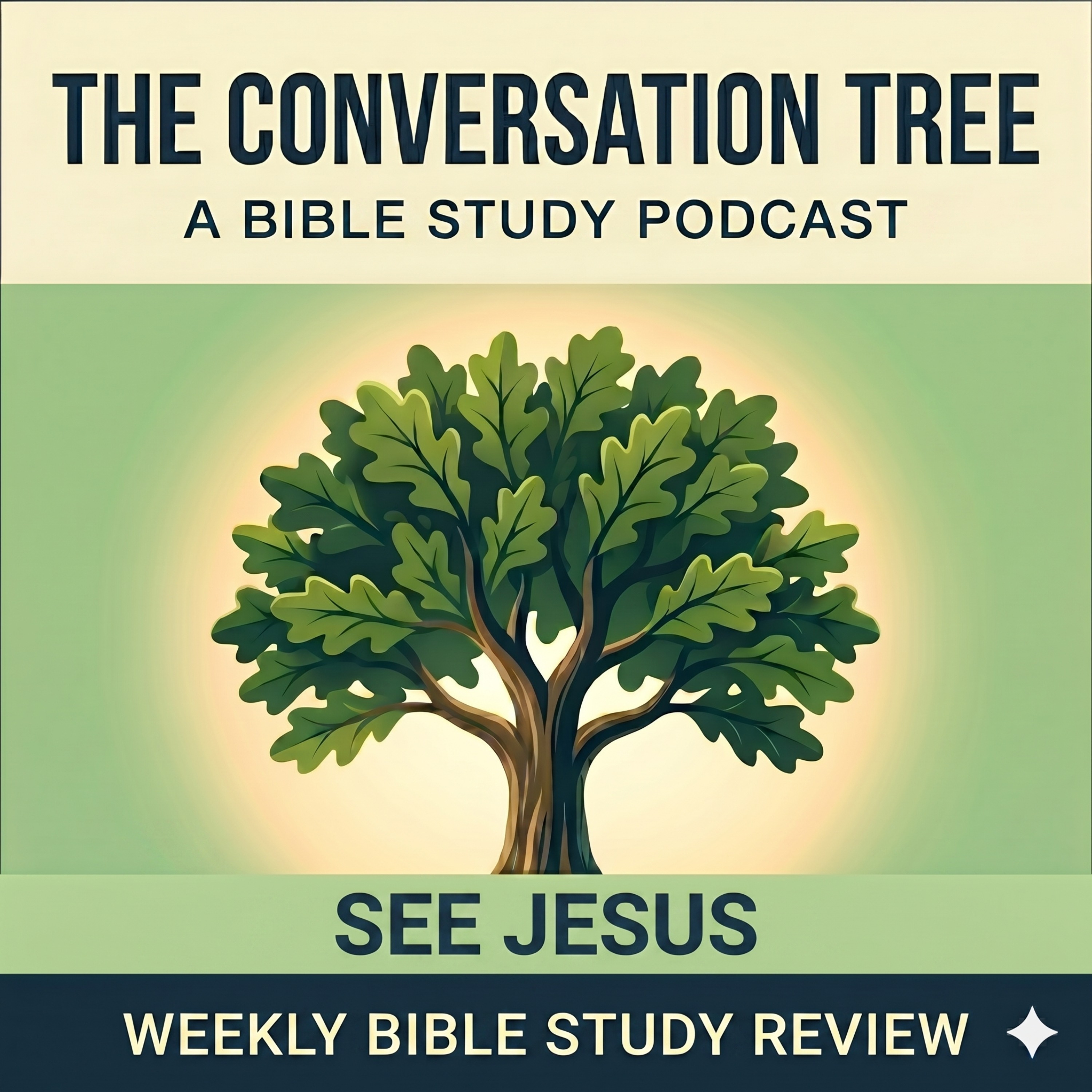 "See Jesus" (June 11) | SDA Sabbath School Lesson Review episode artwork