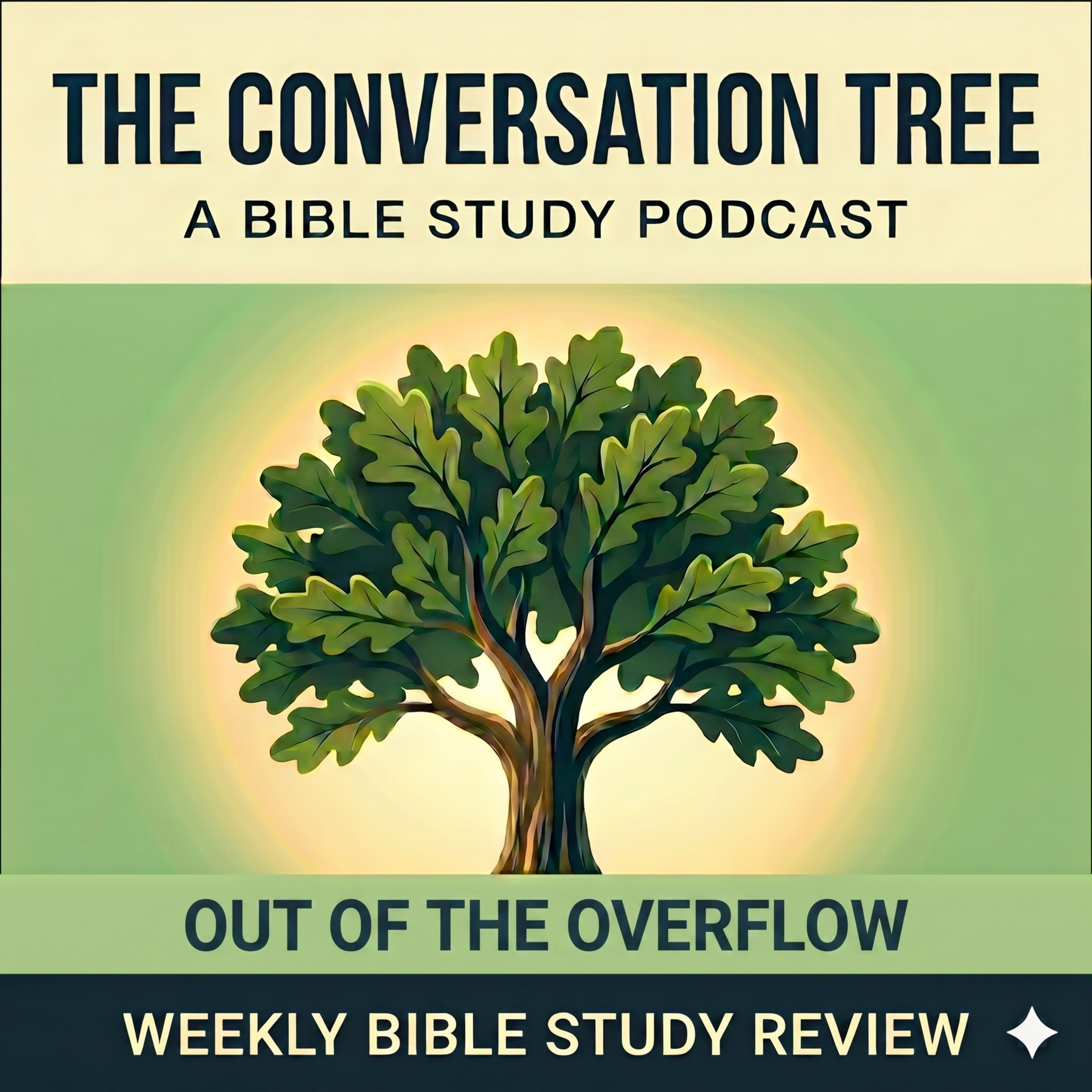 "Out of the Overflow" (June 14) | SDA Sabbath School Lesson Review episode artwork