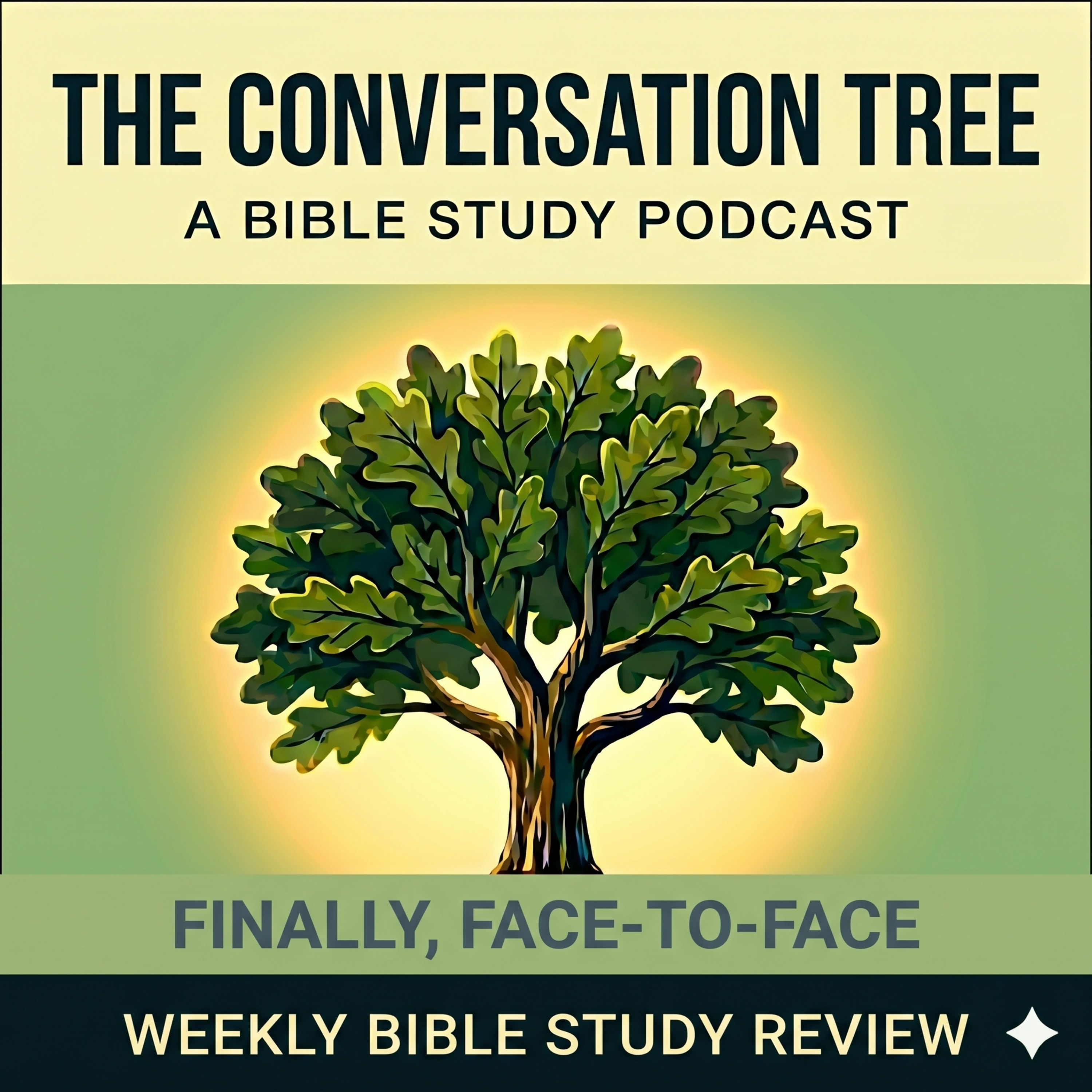 "Finally, Face-to-Face" (June 22) | SDA Sabbath School Lesson Review