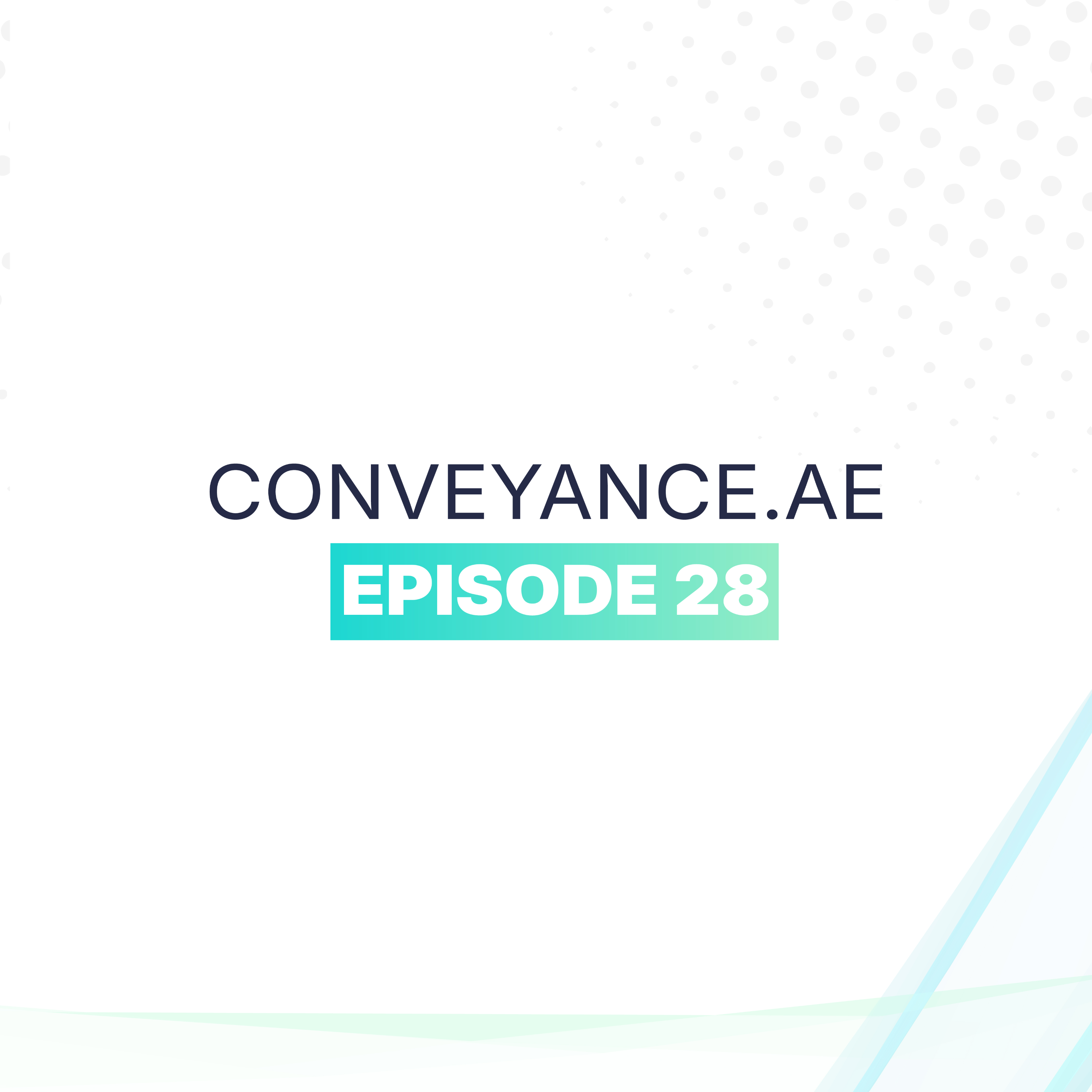 EPISODE 28 episode artwork