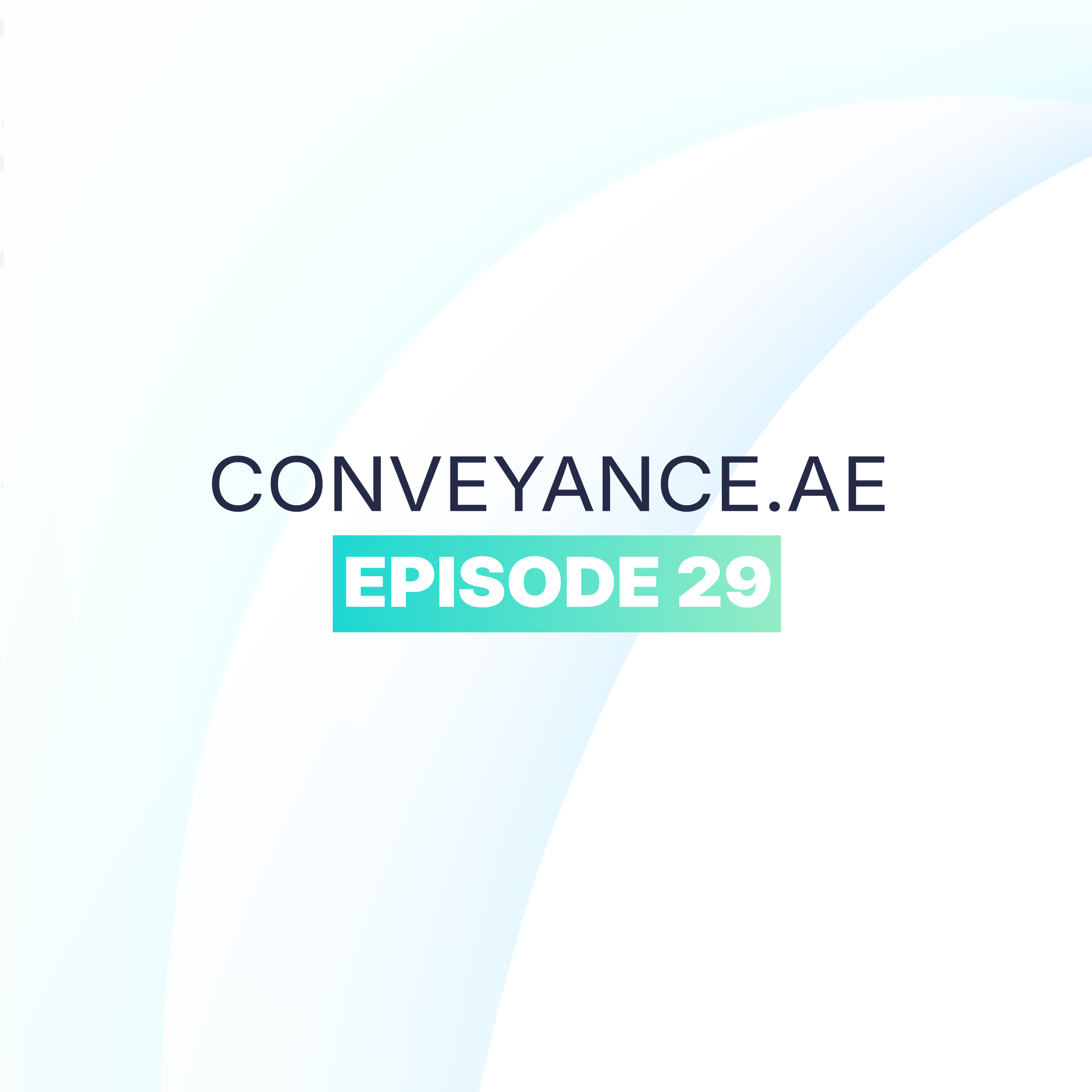 EPISODE 29 episode artwork