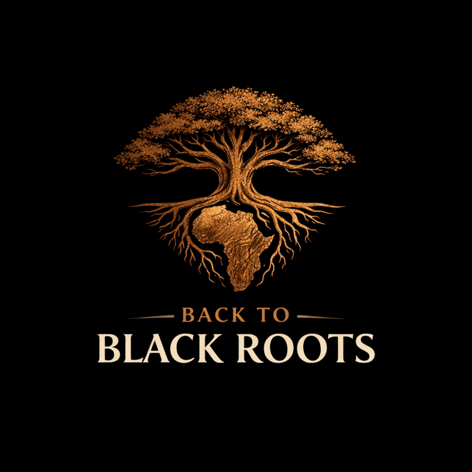 The Core Vision of Back to Black Roots cover art