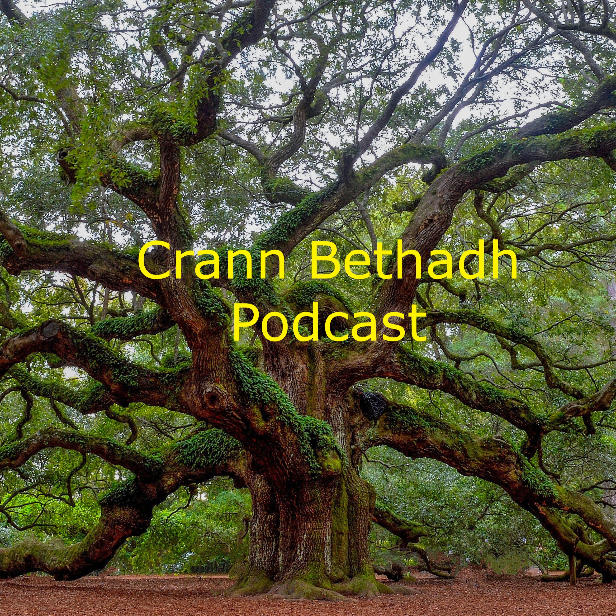 Crann na beatha Stories and Poetry