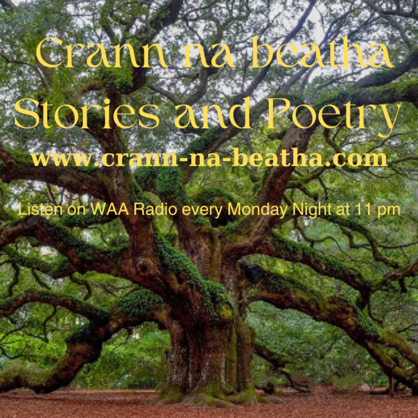 Crann na beatha Stories and Poetry