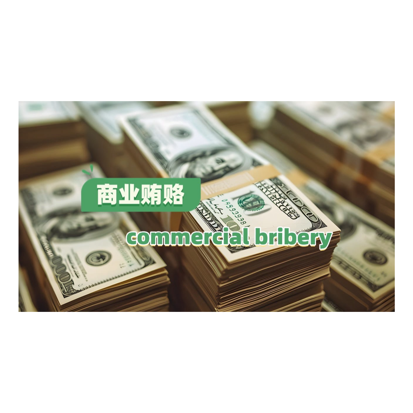 The Story of a Chinese Lawyer