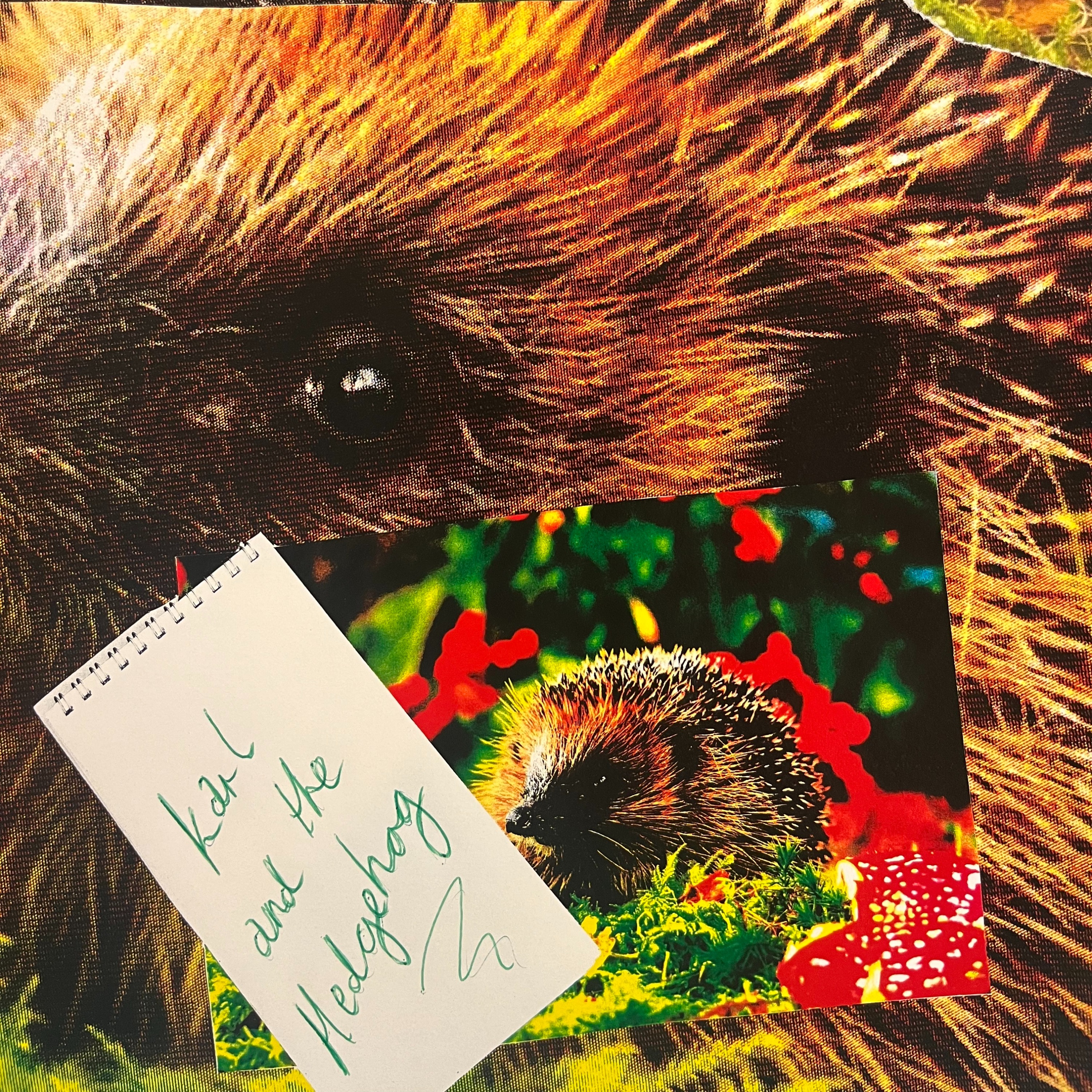 THE CURIOSITY PROJECT