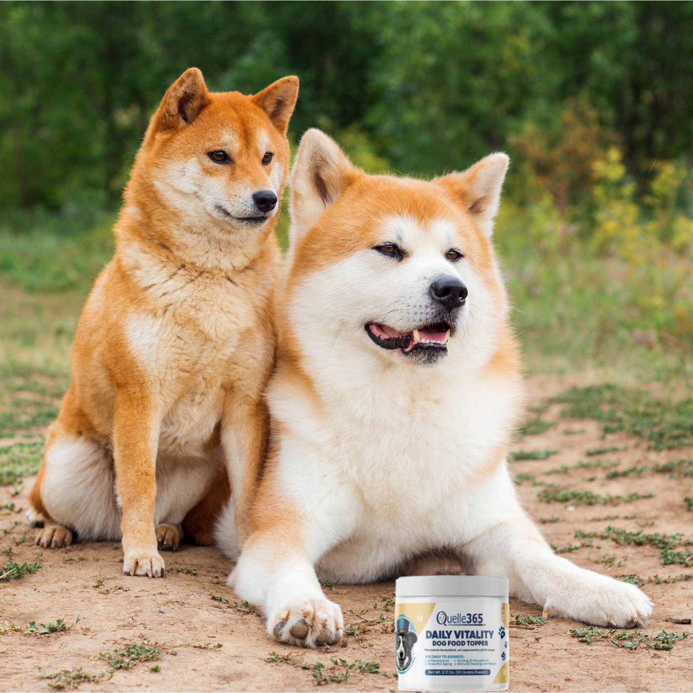 The Daily Bark: Your Daily Dose of Canine Conversations