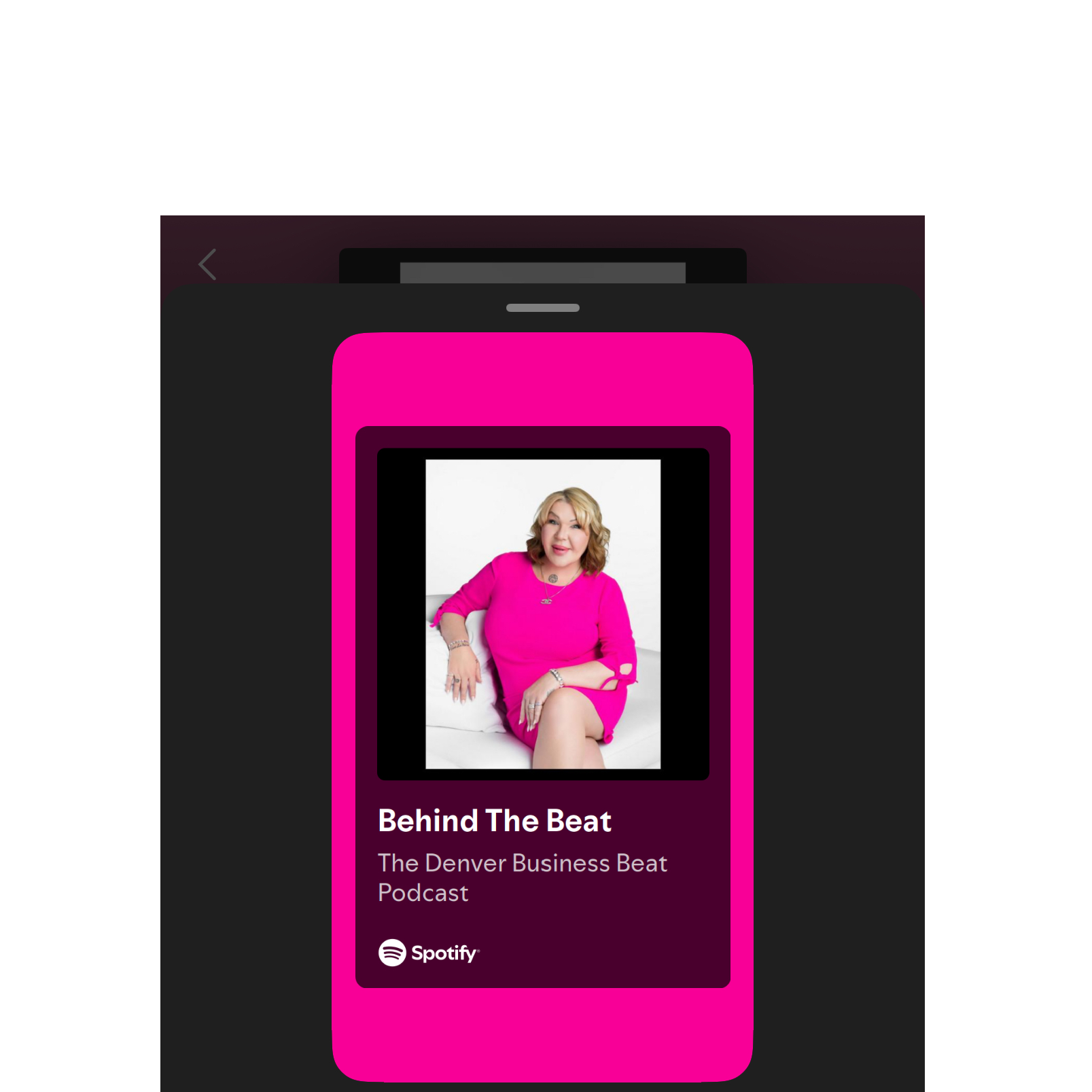 The Denver Business Beat Podcast