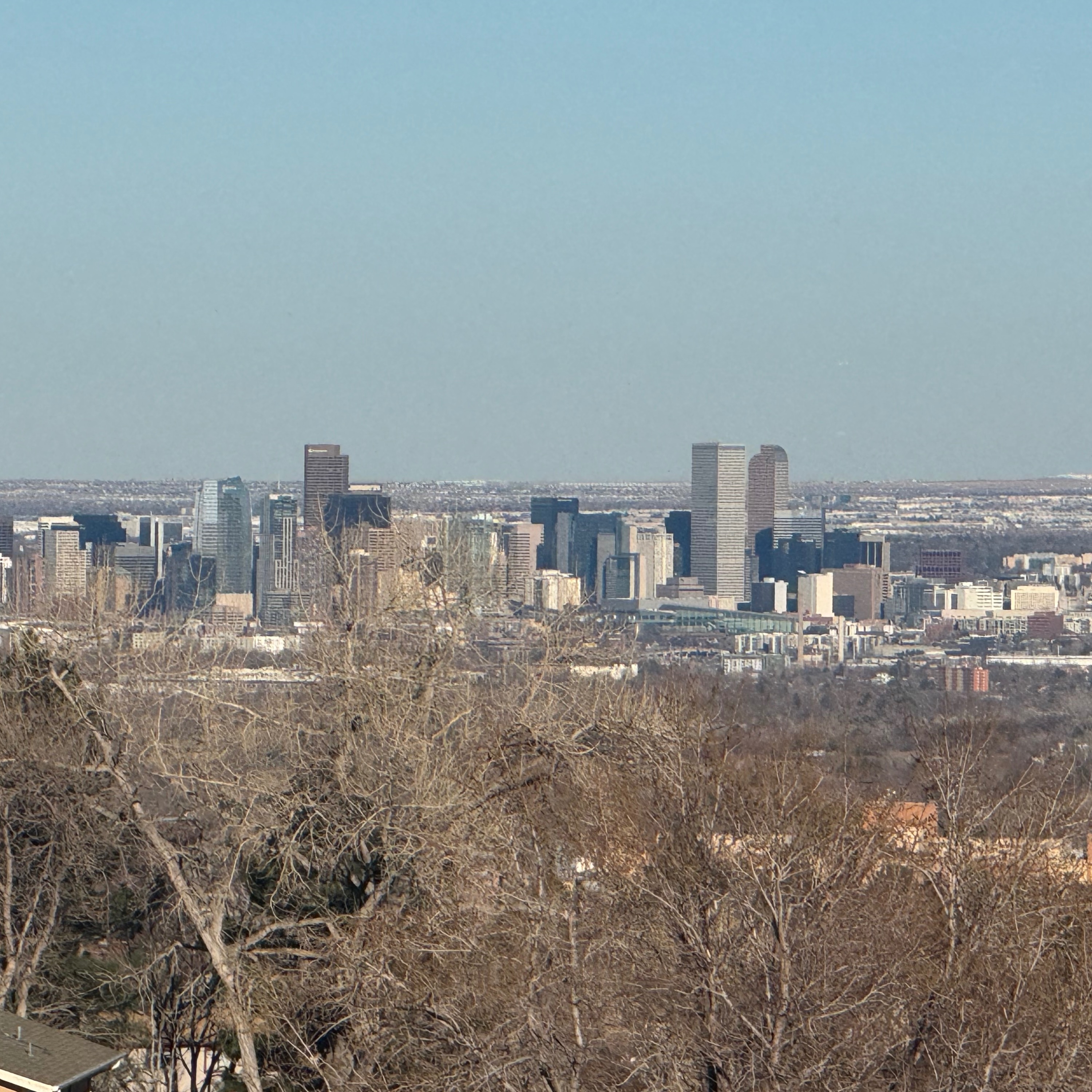 The Denver Business Beat Podcast