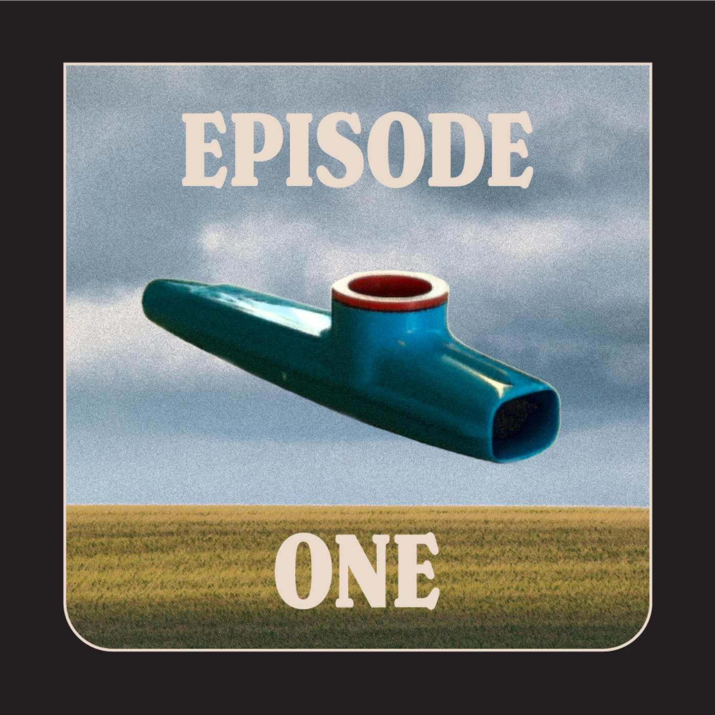 The Differentiated Business Podcast