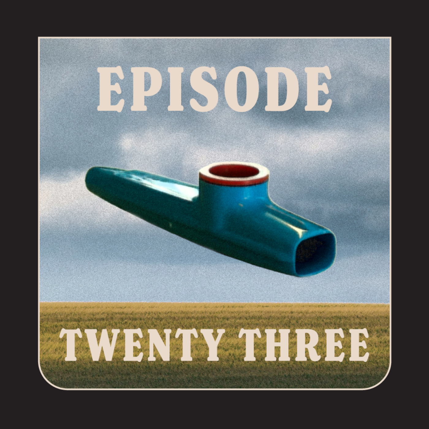 The Differentiated Business Podcast