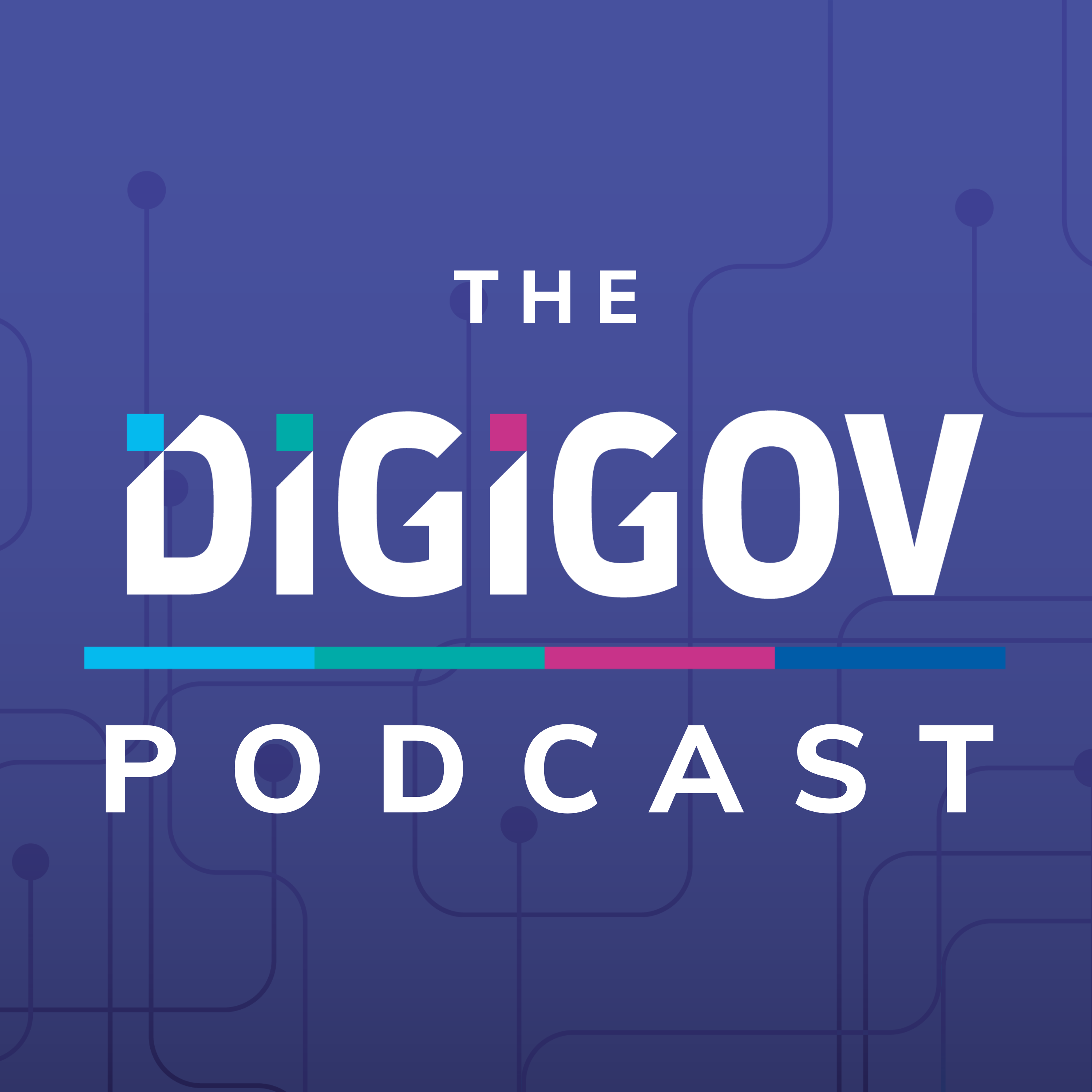 The DigiGov Podcast
