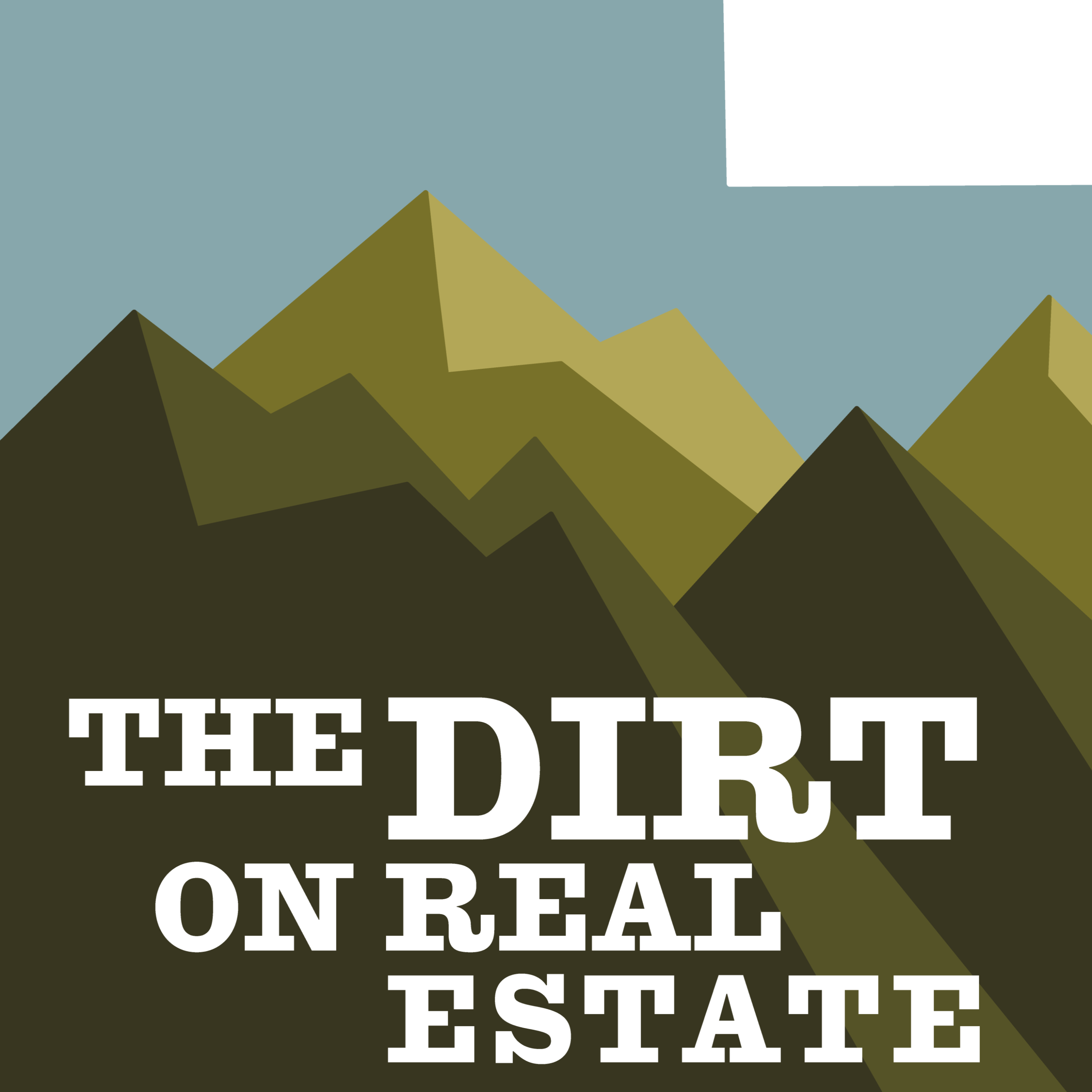 The Dirt on.. Home Inspection Red Flags (and What to Do About Them) The Dirt on.. Home Inspection Red Flags (and What to Do About Them)