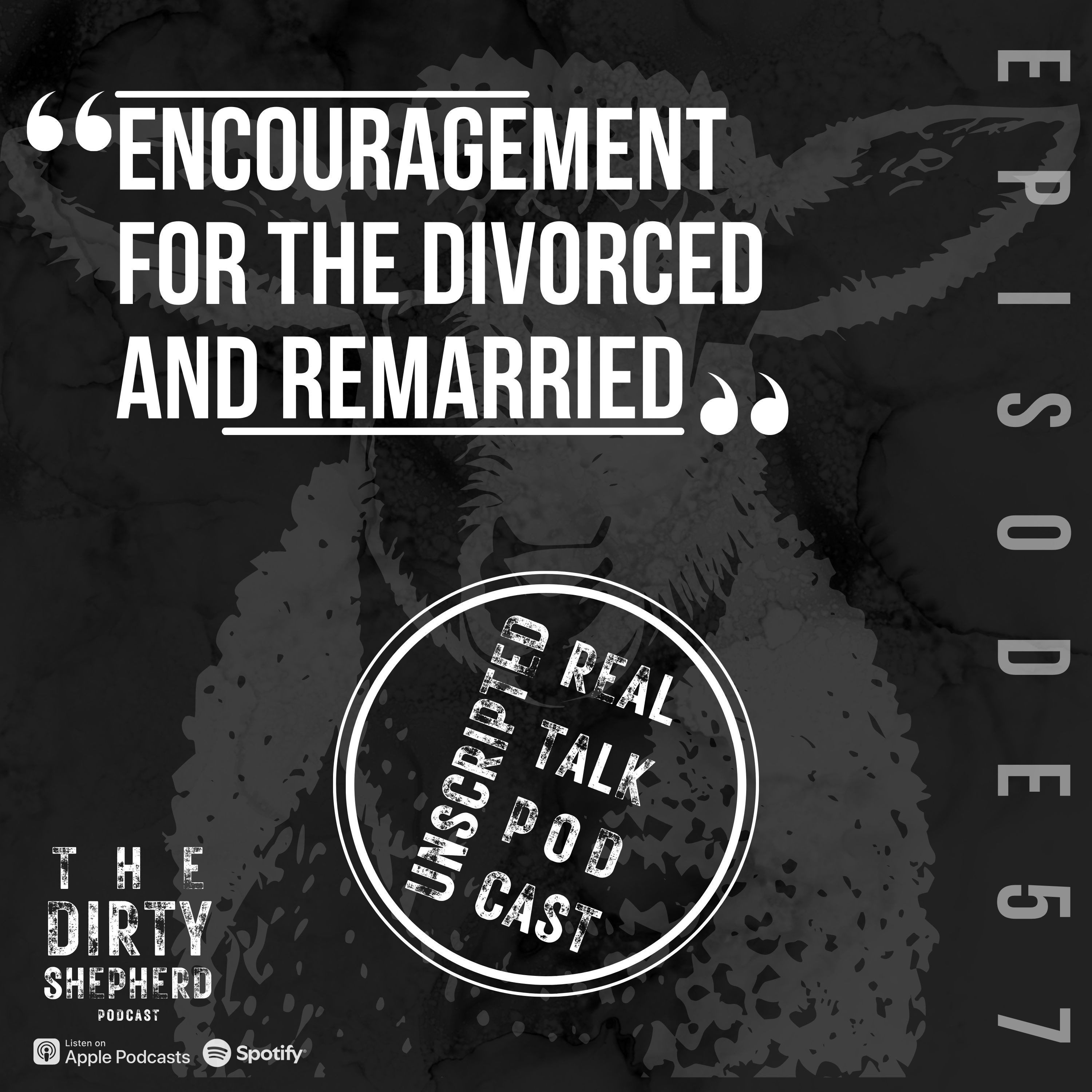 Encouragement for the Divorced and Remarried episode artwork